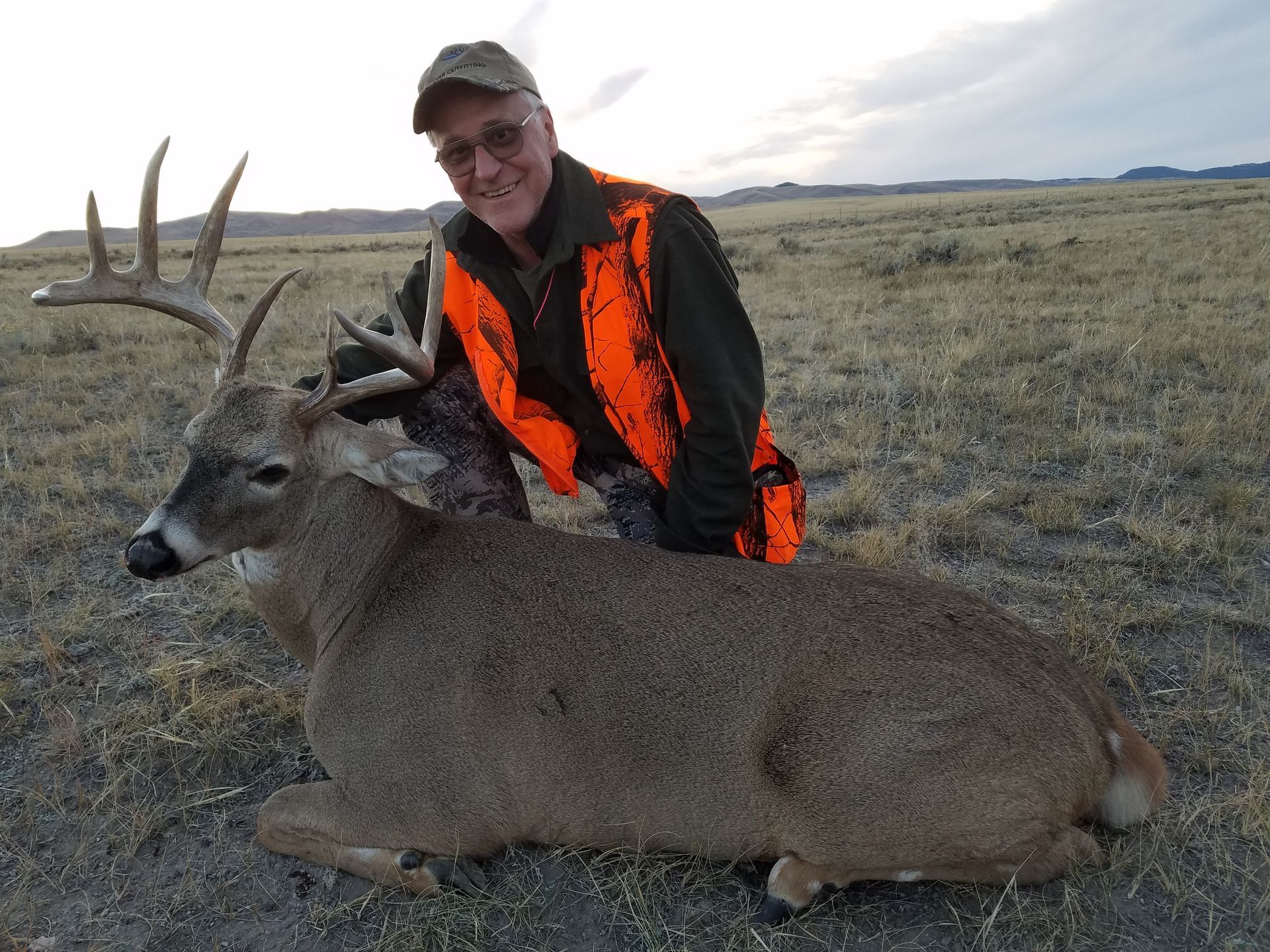 Whitetail Deer Gallery Image