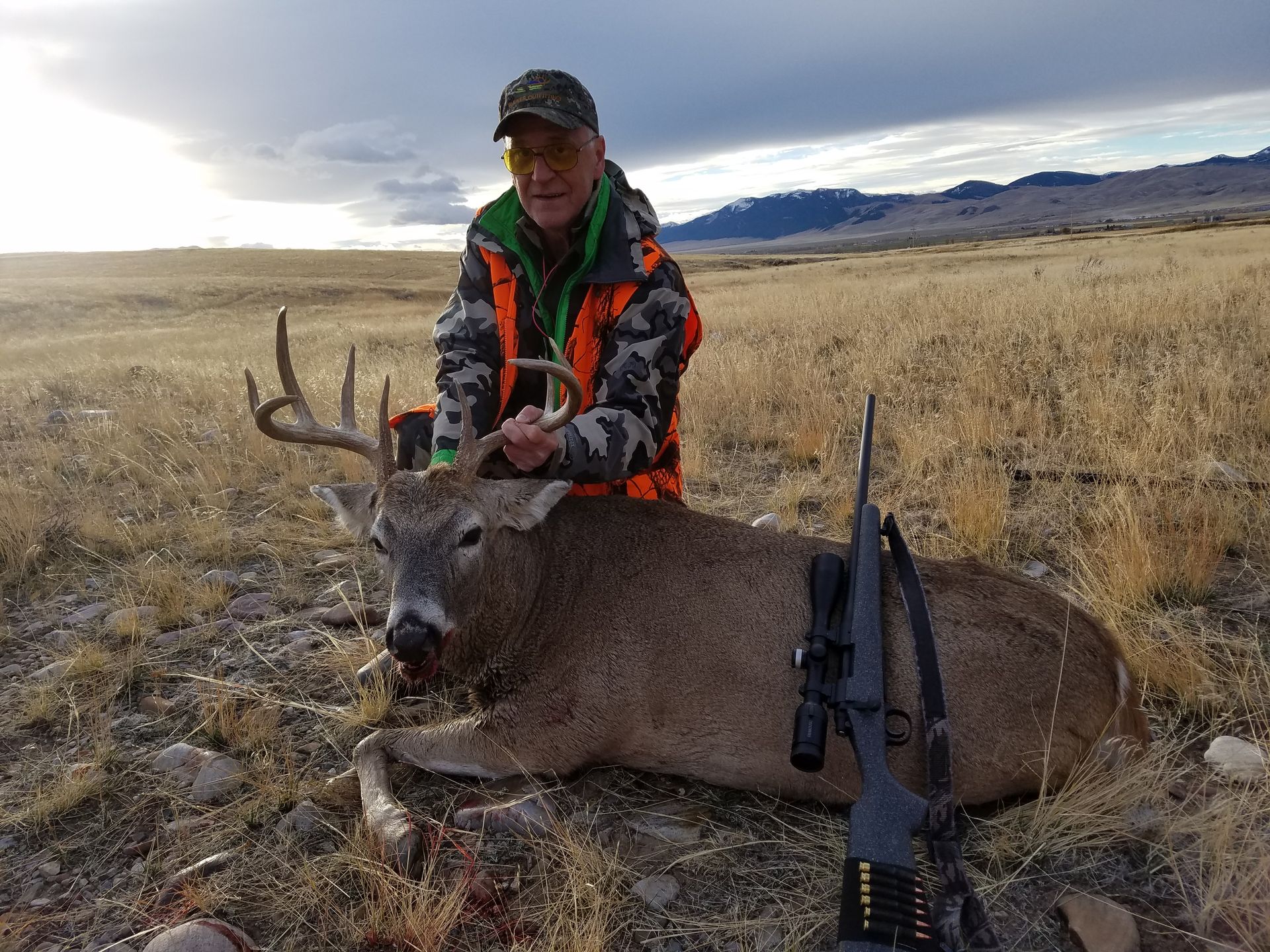 Whitetail Deer Gallery Image