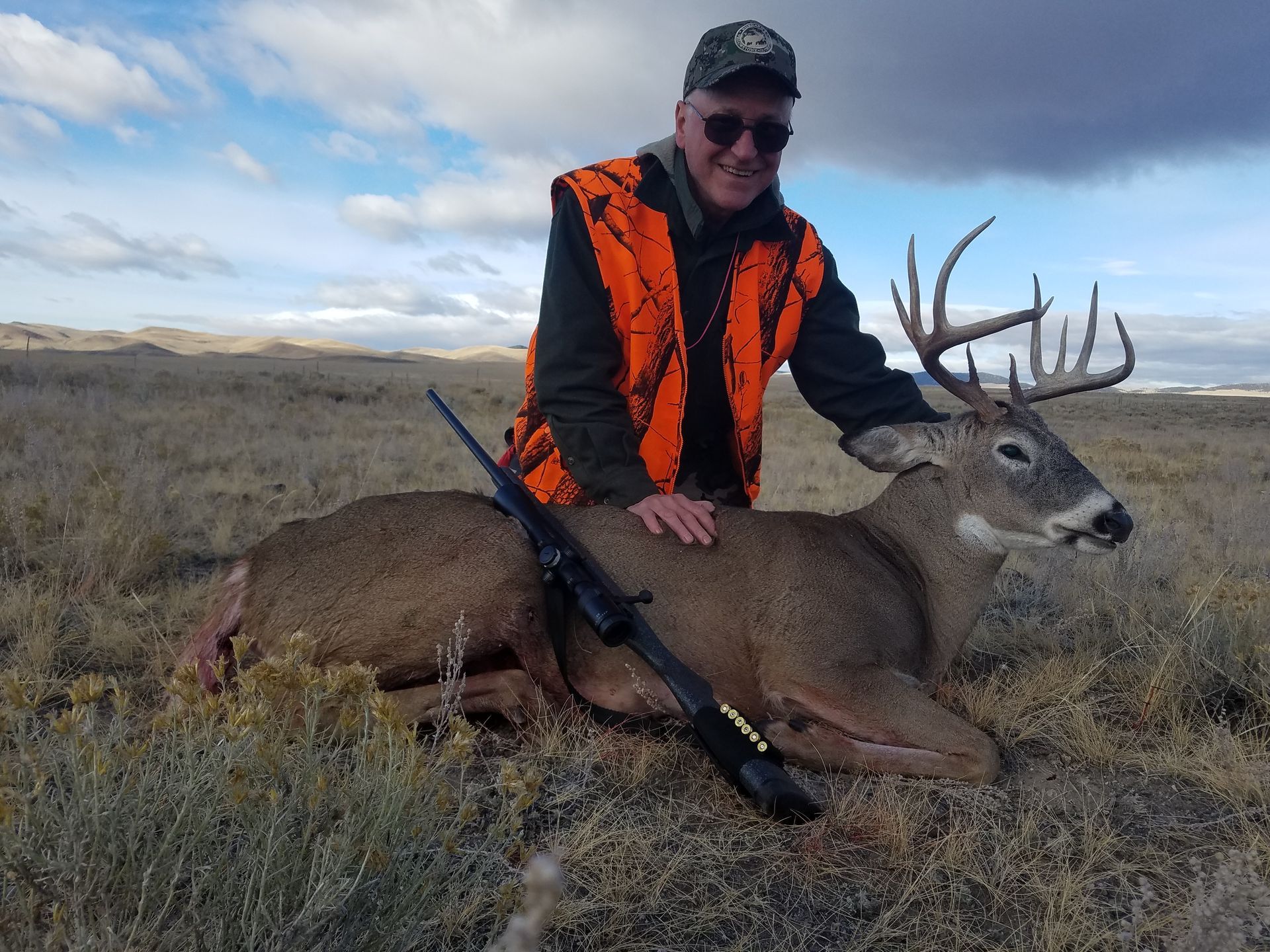 Whitetail Deer Gallery Image