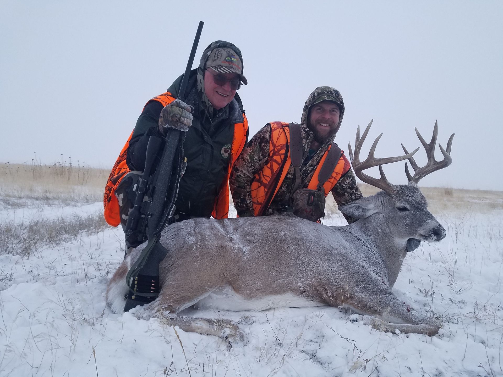 Whitetail Deer Gallery Image