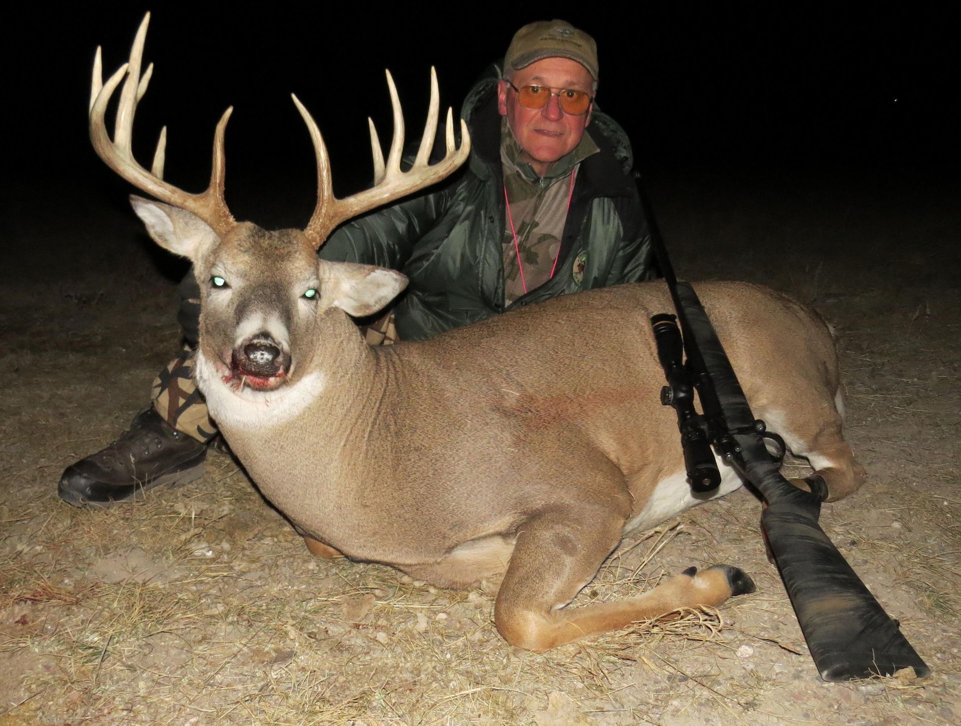 Whitetail Deer Gallery Image