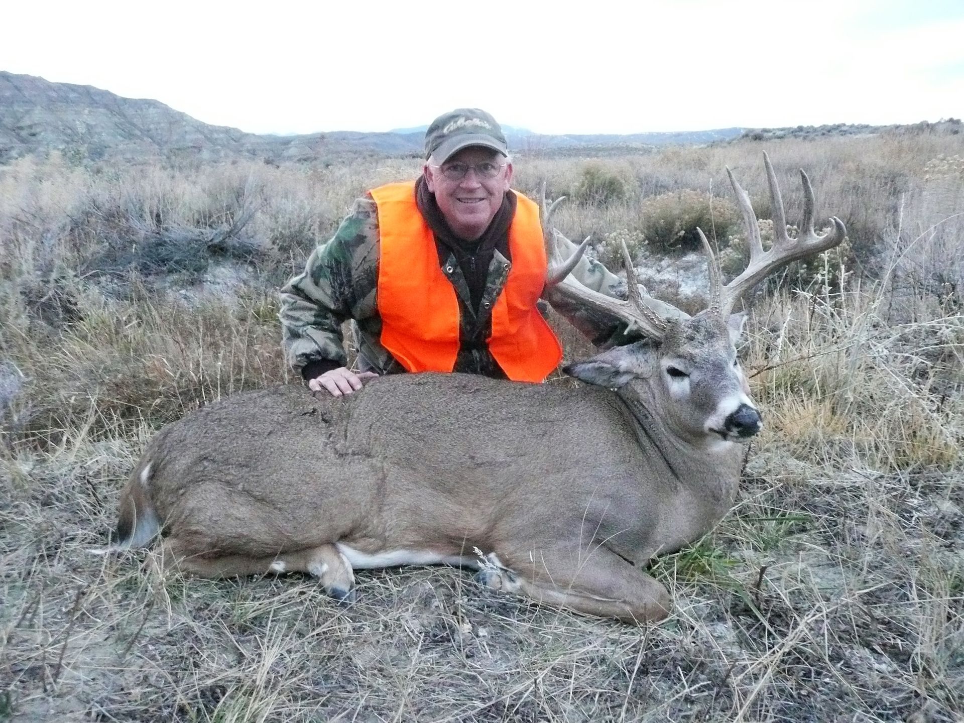 Whitetail Deer Gallery Image