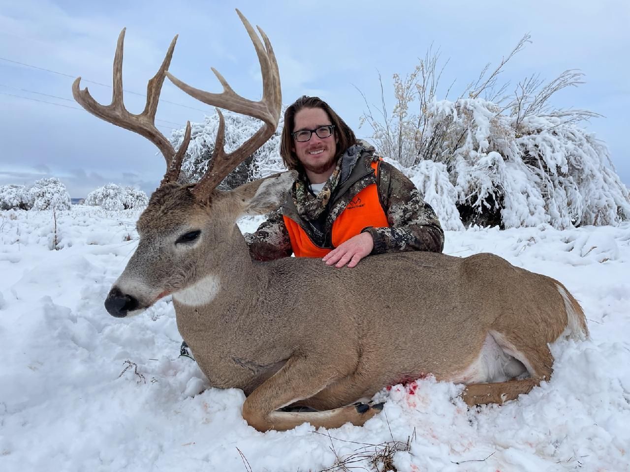 Whitetail Deer Gallery Image