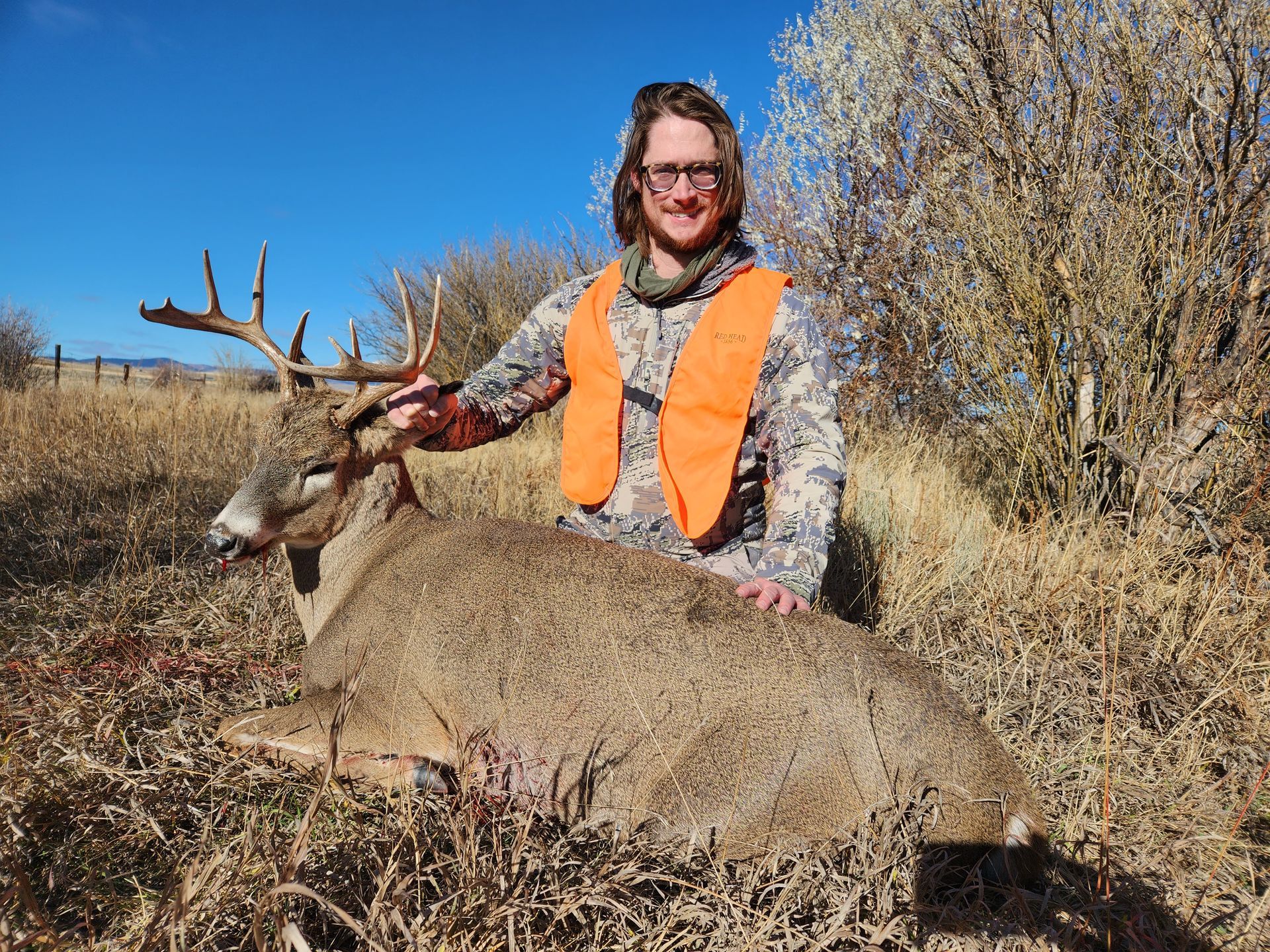 Whitetail Deer Gallery Image