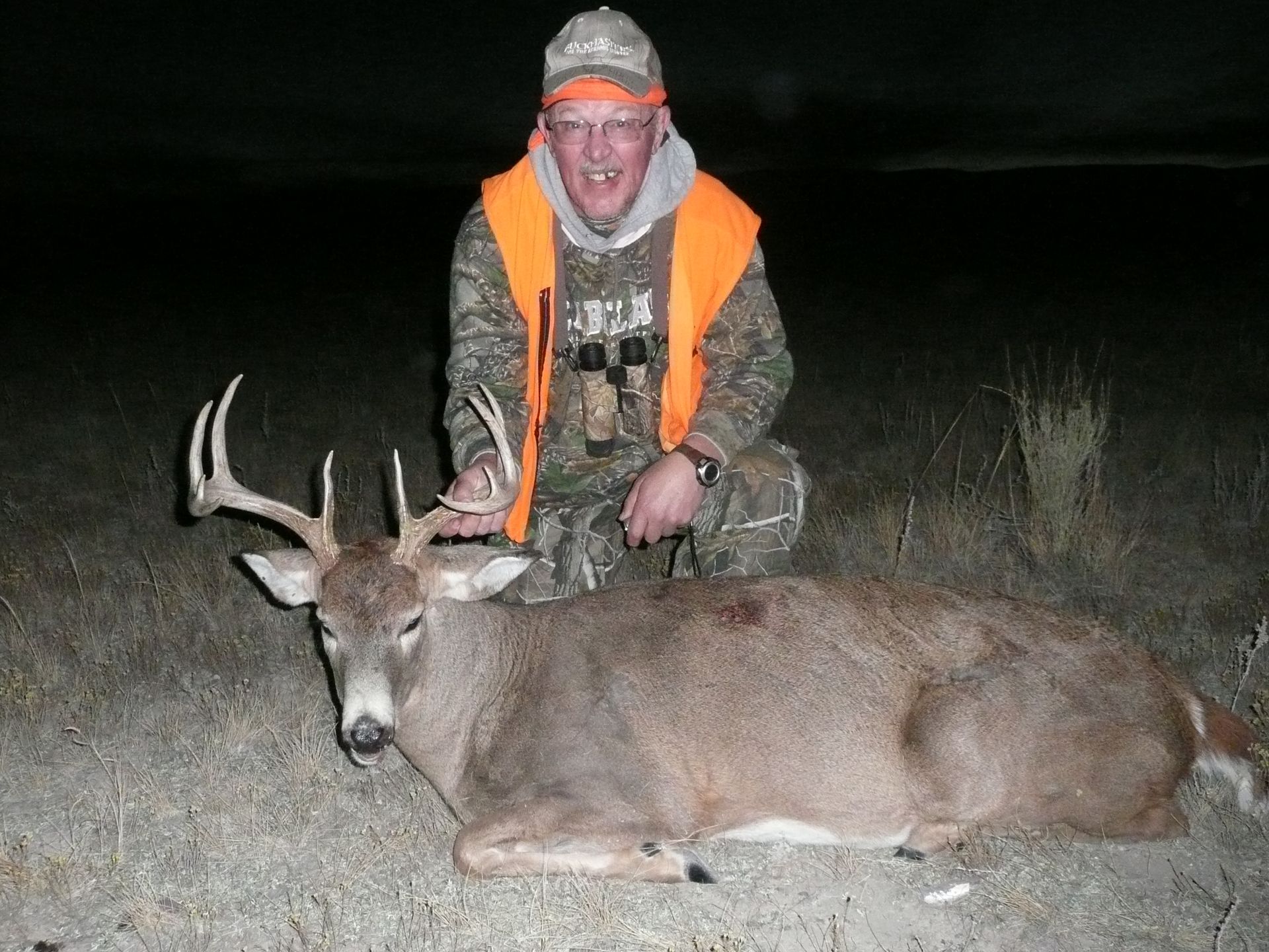 Whitetail Deer Gallery Image