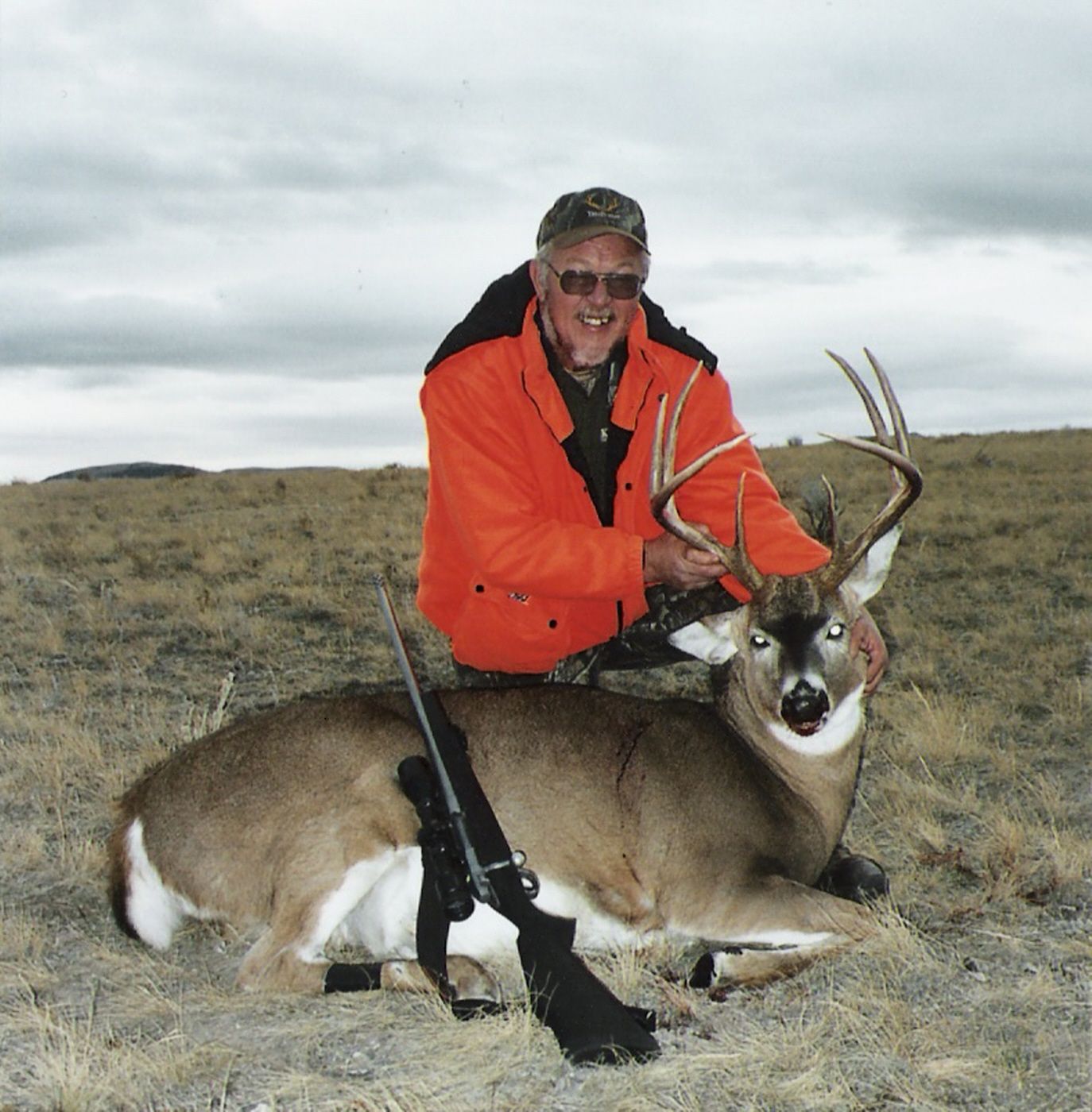 Whitetail Deer Gallery Image