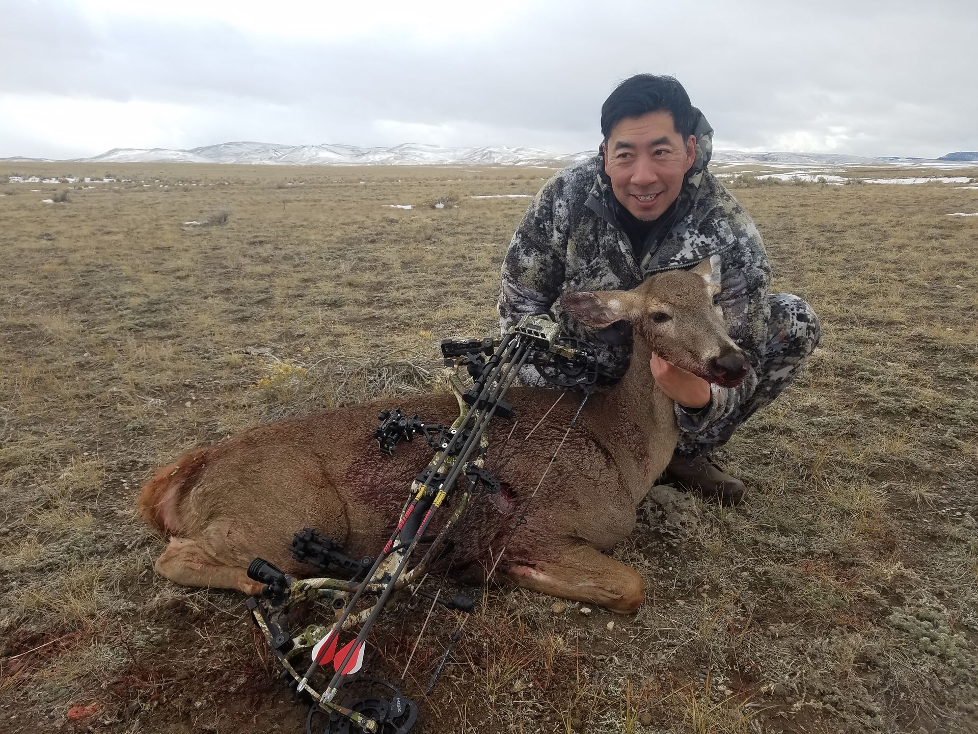 Whitetail Deer Gallery Image