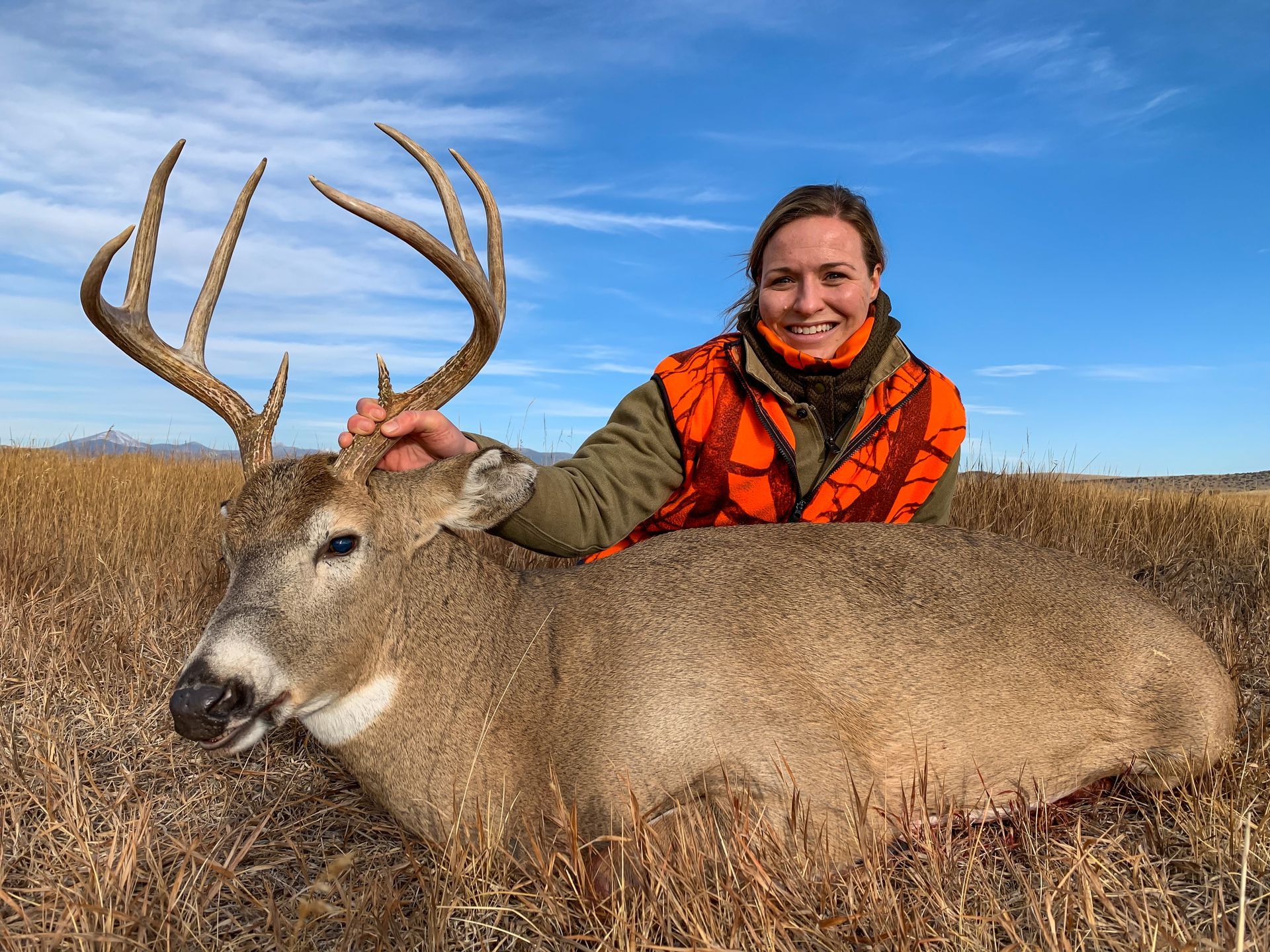 Whitetail Deer Gallery Image