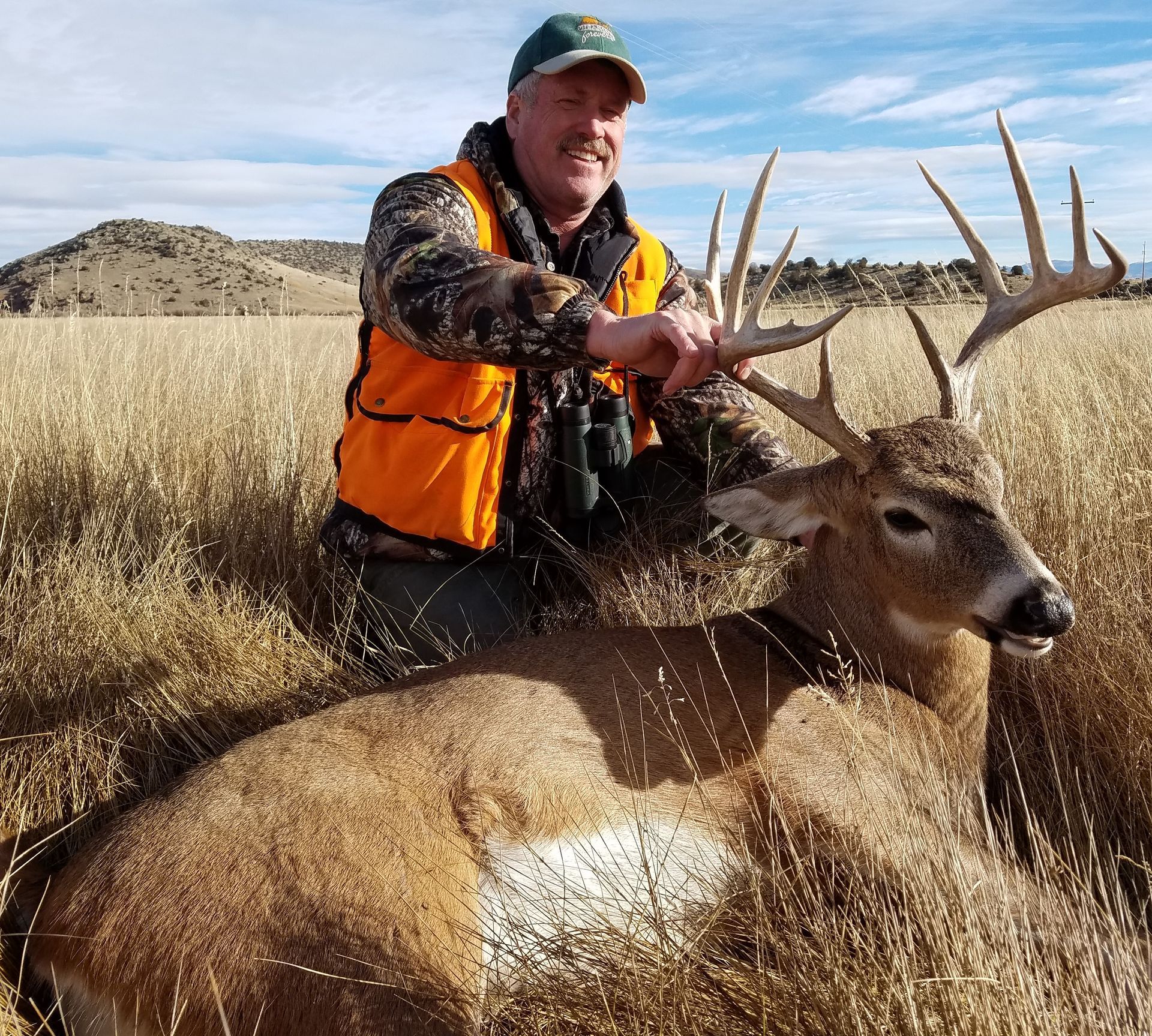 Whitetail Deer Gallery Image