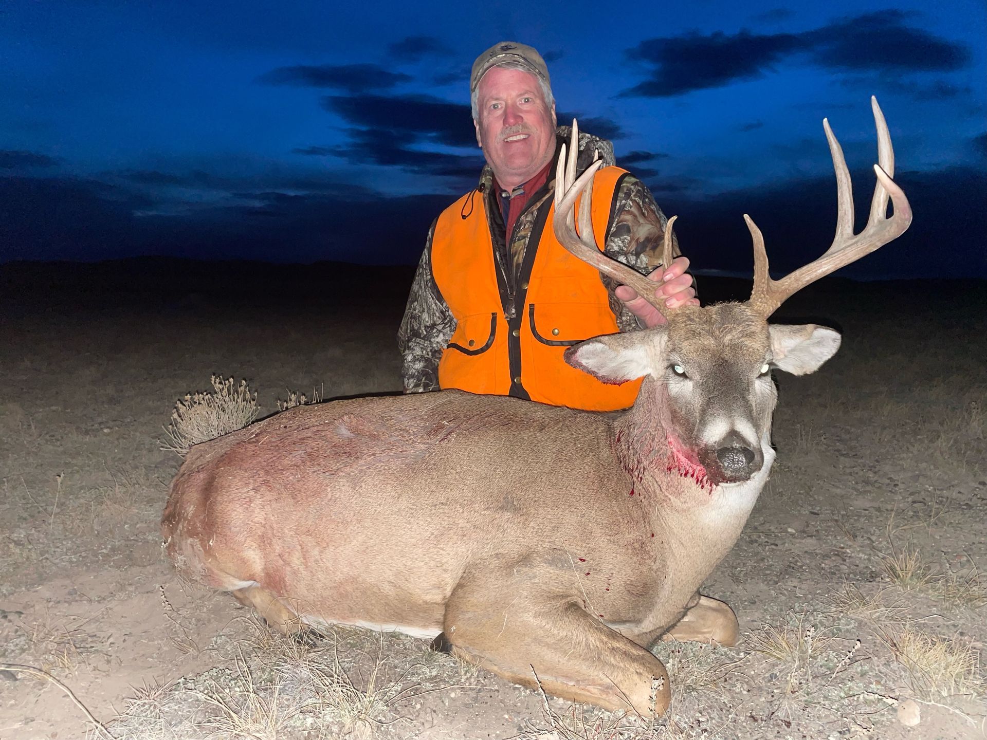 Whitetail Deer Gallery Image