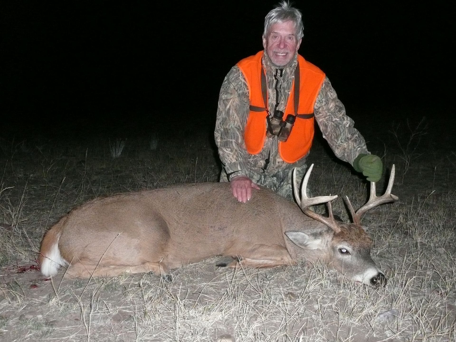 Whitetail Deer Gallery Image