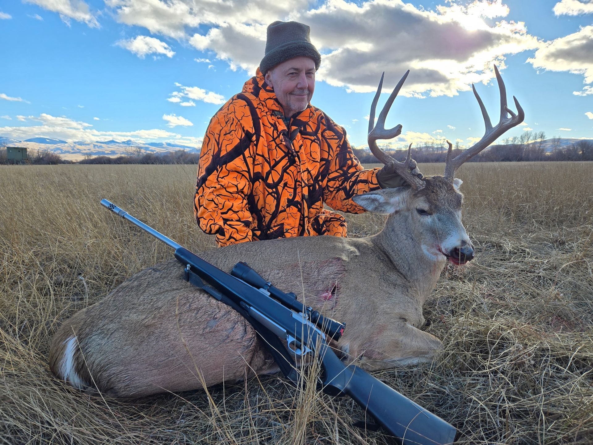 Whitetail Deer Gallery Image