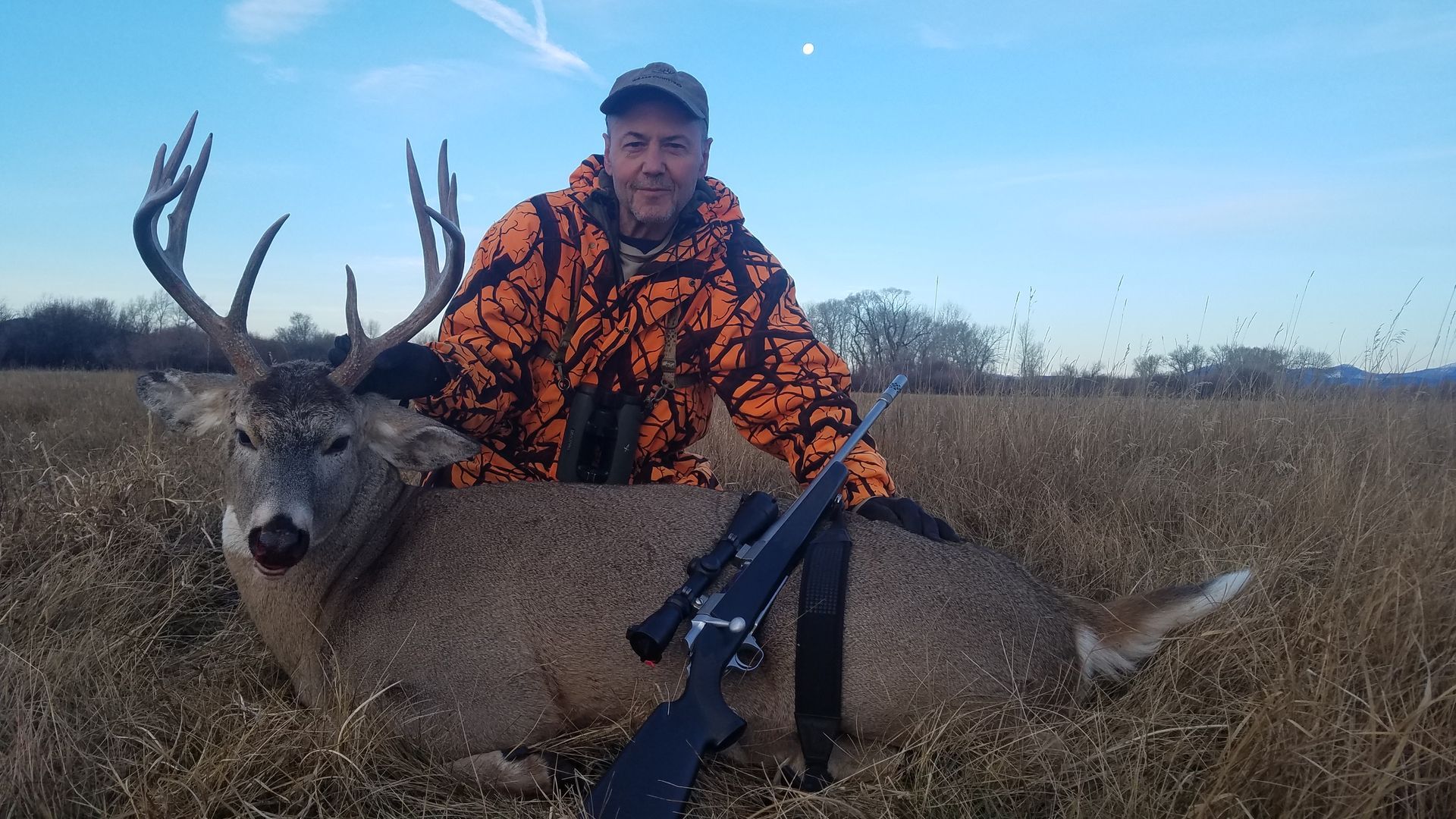 Whitetail Deer Gallery Image