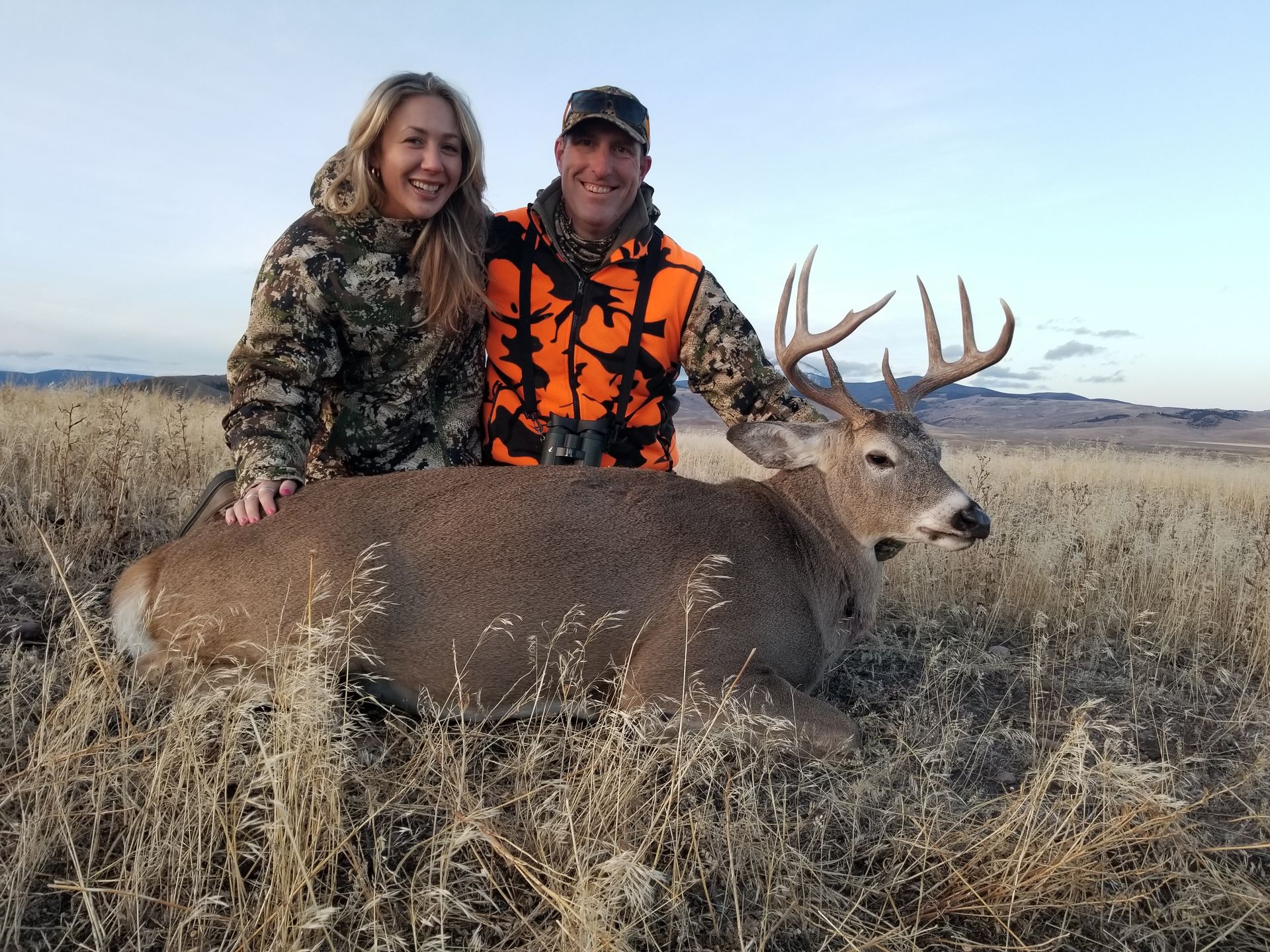 Whitetail Deer Gallery Image