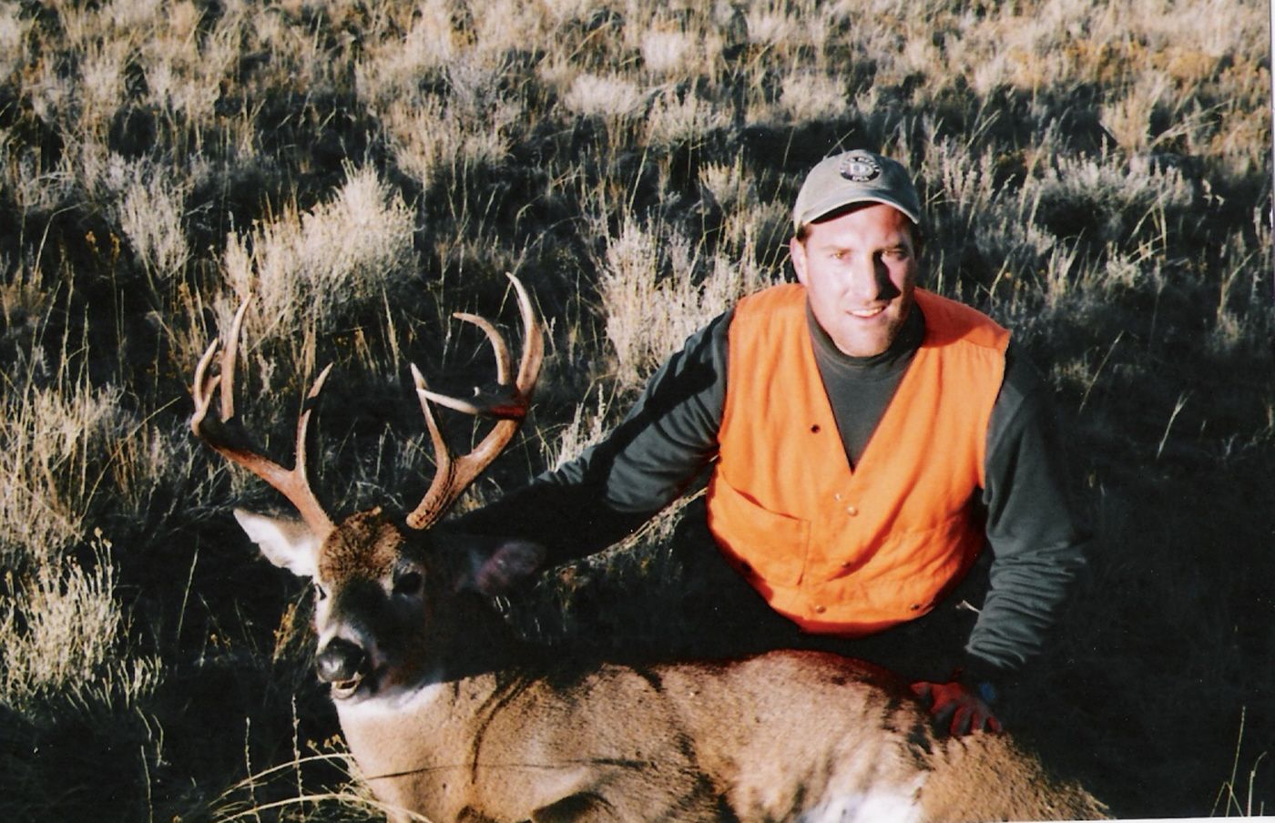 Whitetail Deer Gallery Image