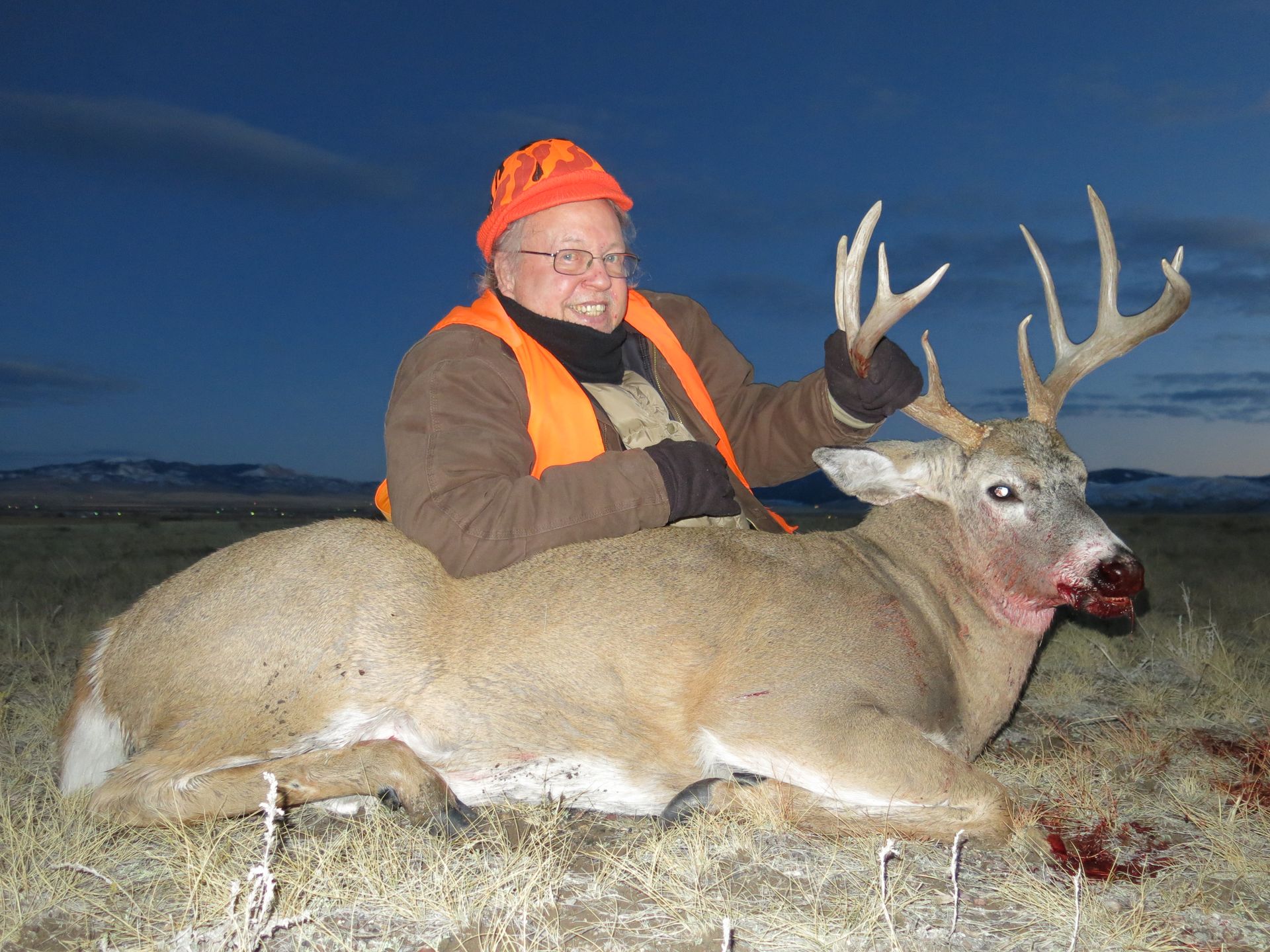 Whitetail Deer Gallery Image