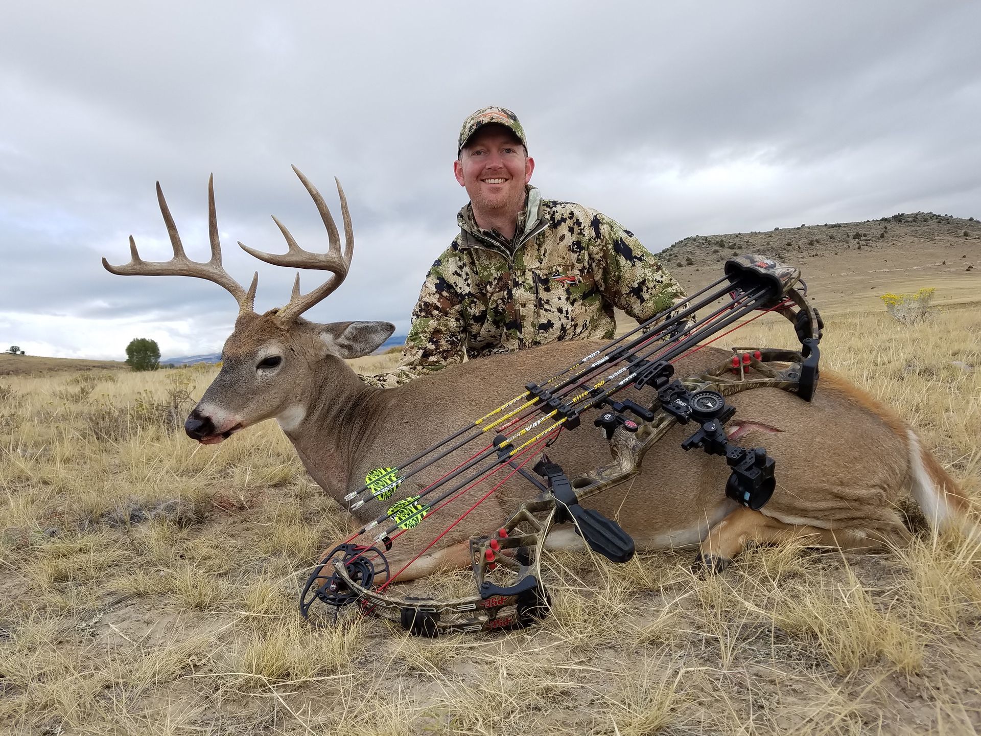 Whitetail Deer Gallery Image