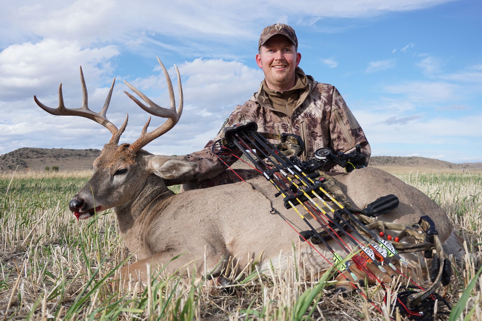 Whitetail Deer Gallery Image