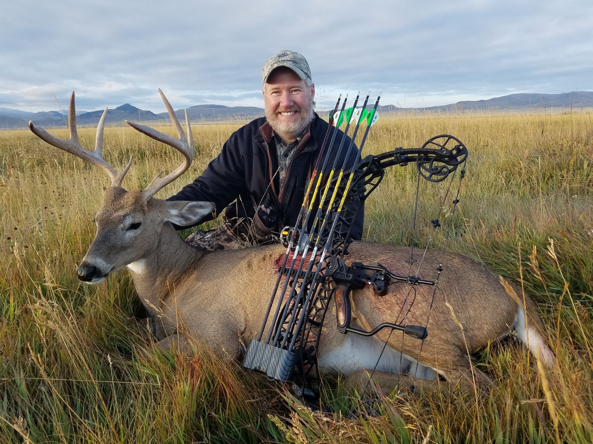 Whitetail Deer Gallery Image