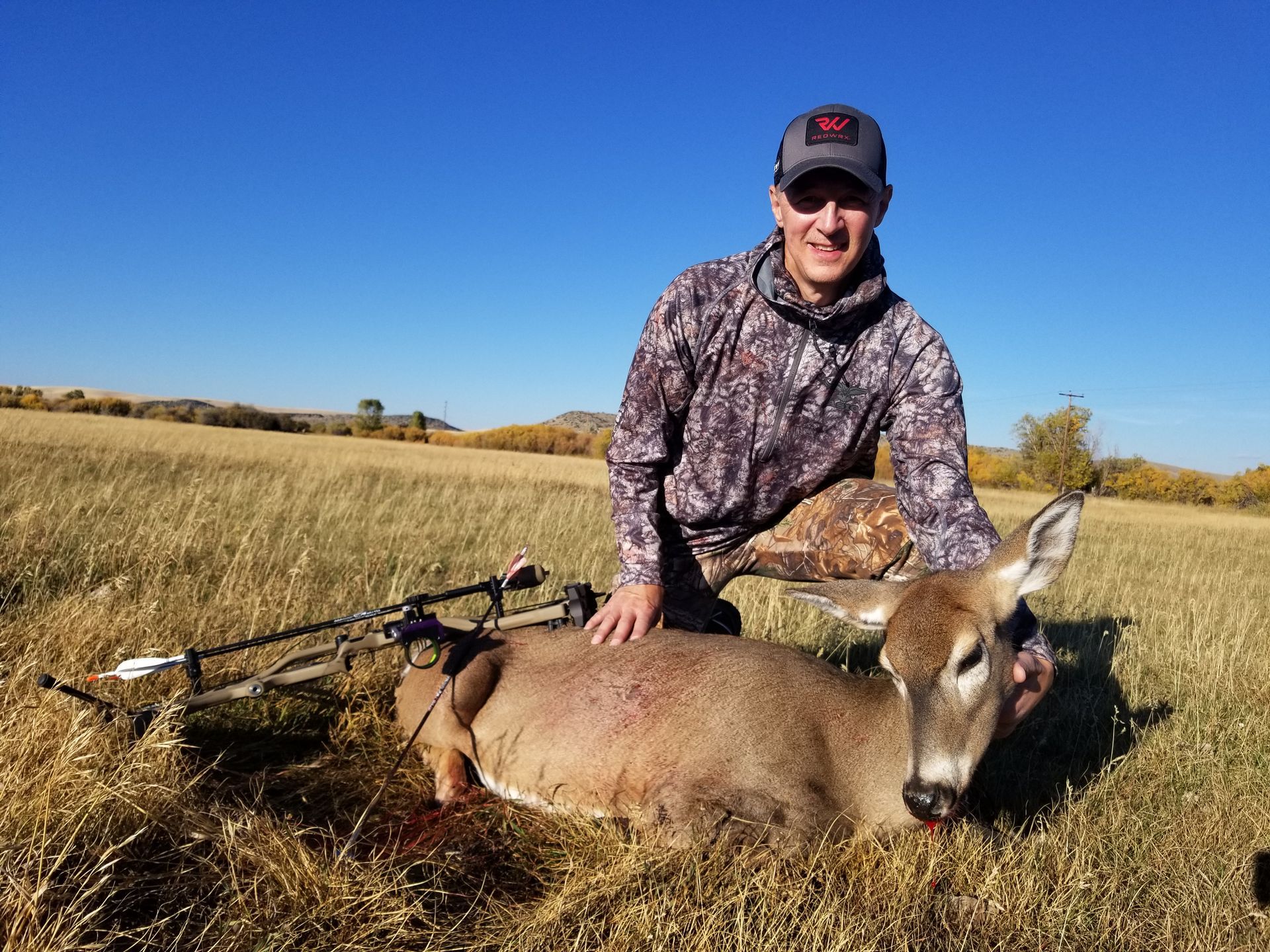 Whitetail Deer Gallery Image