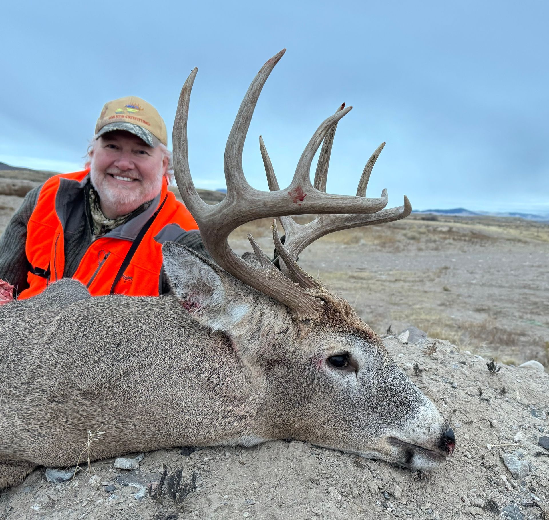 Whitetail Deer Gallery Image