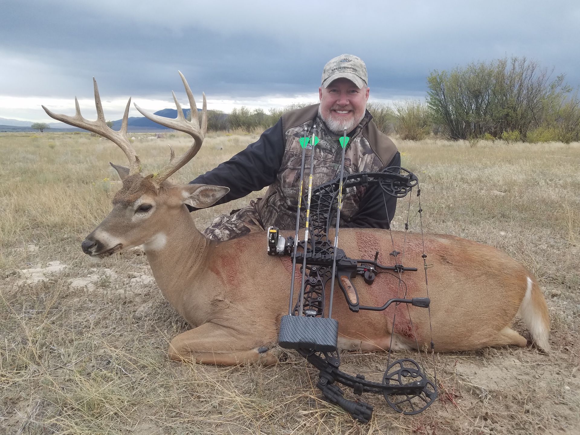 Whitetail Deer Gallery Image