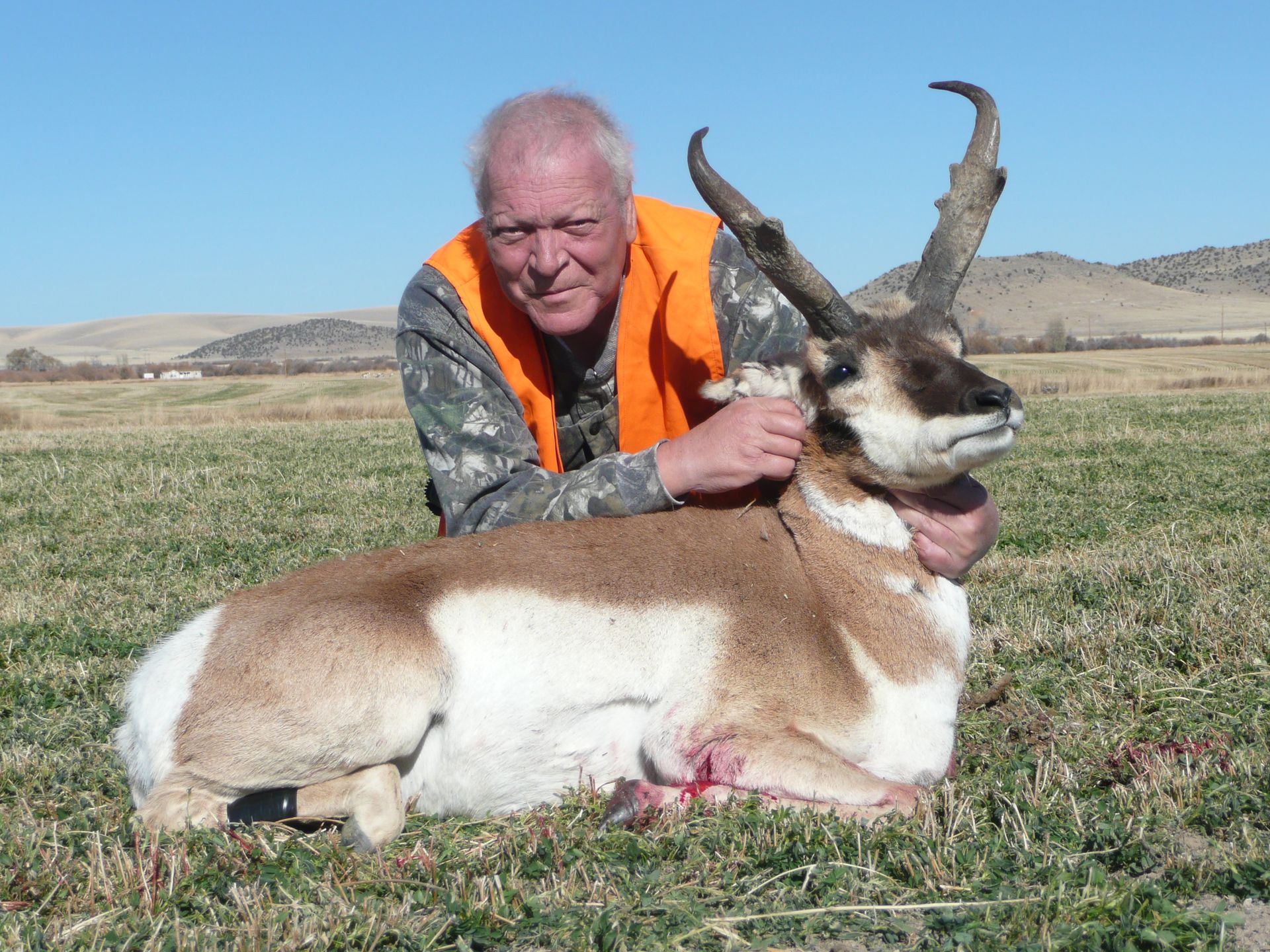 Antelope Rifle Gallery Image