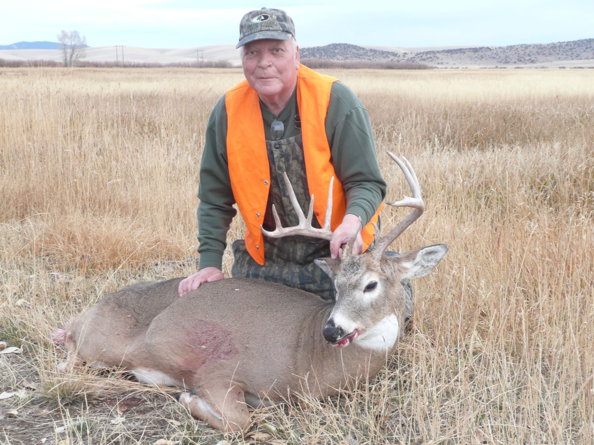 Whitetail Deer Gallery Image