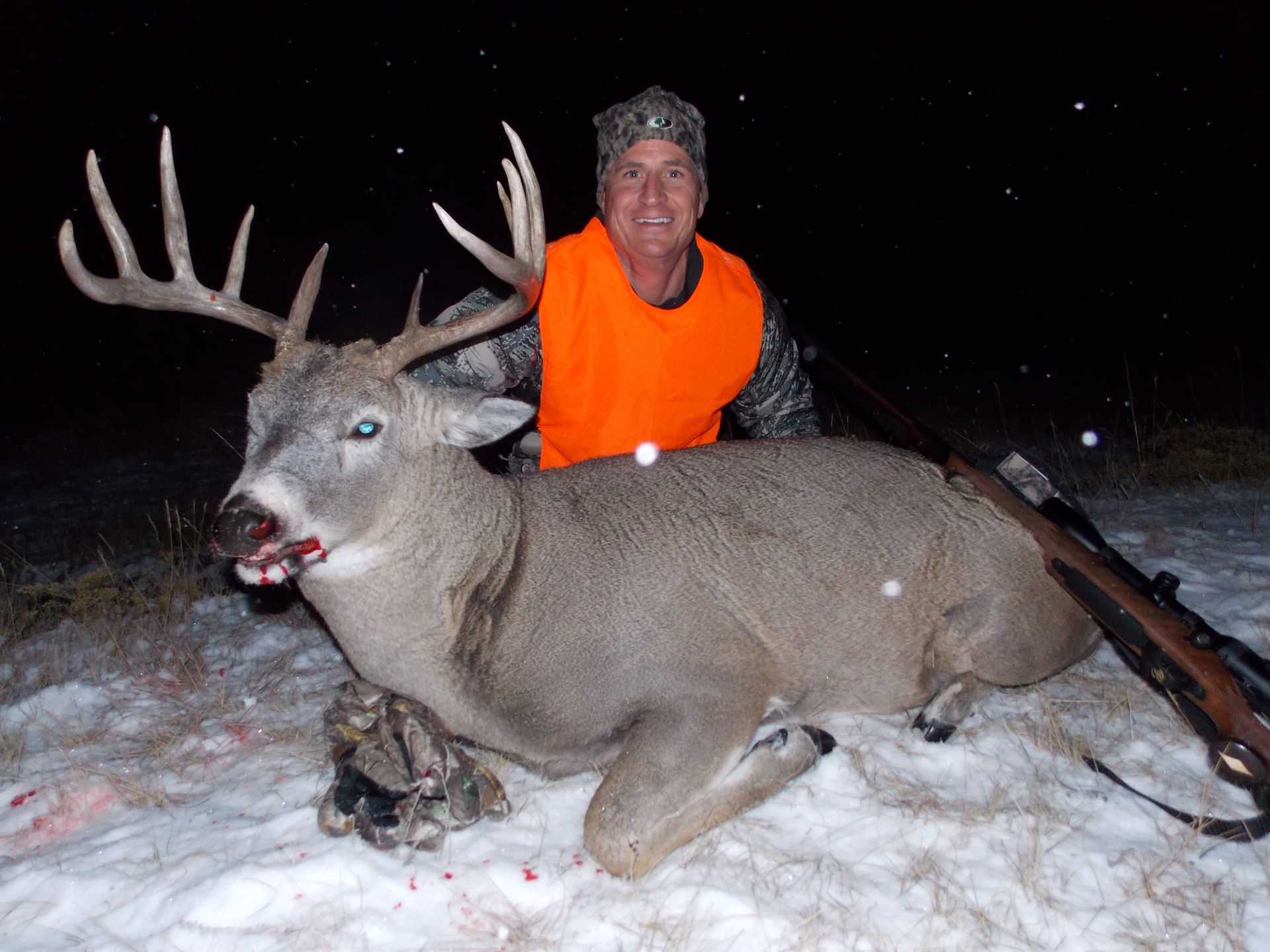 Whitetail Deer Gallery Image