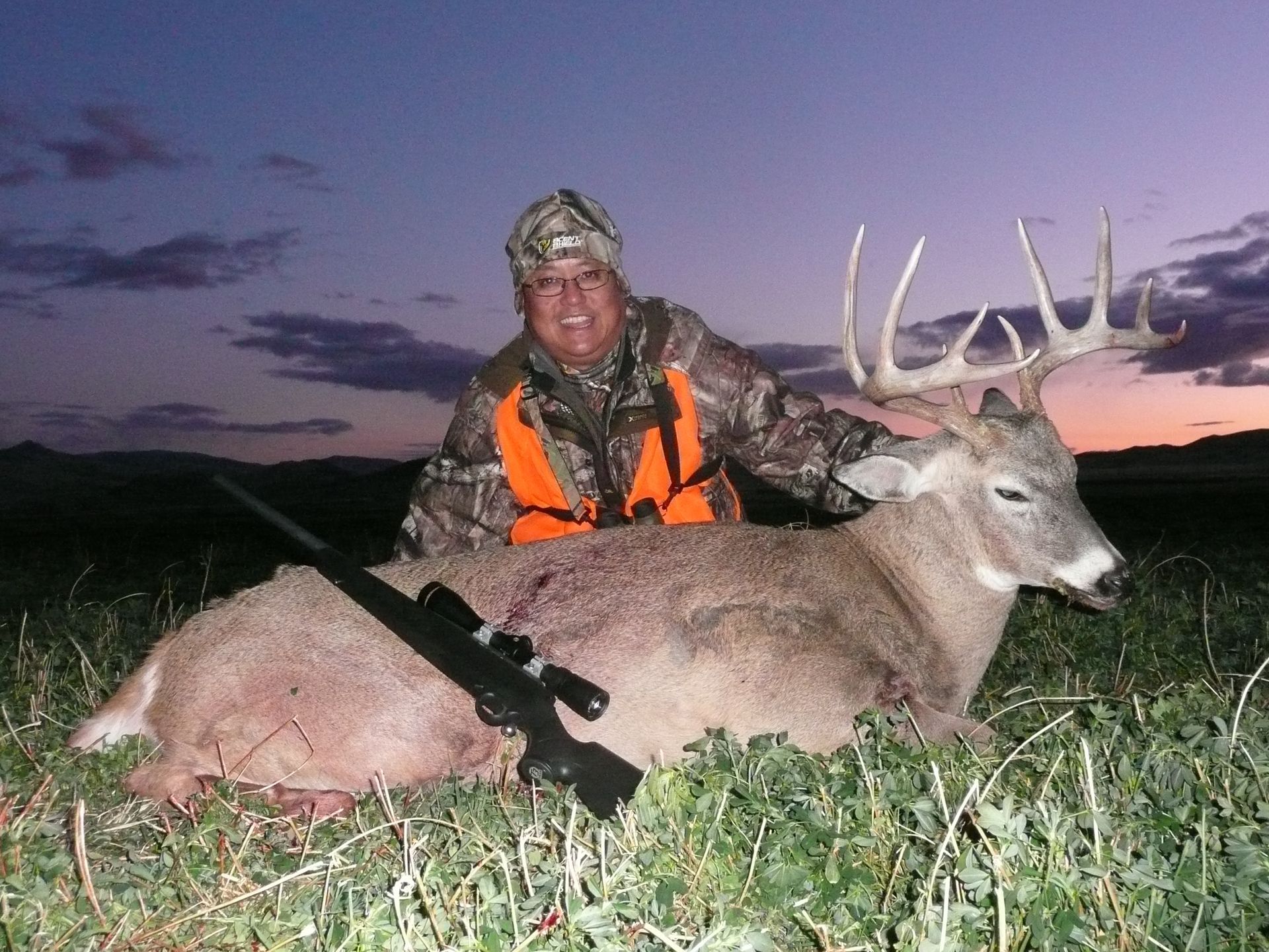 Whitetail Deer Gallery Image