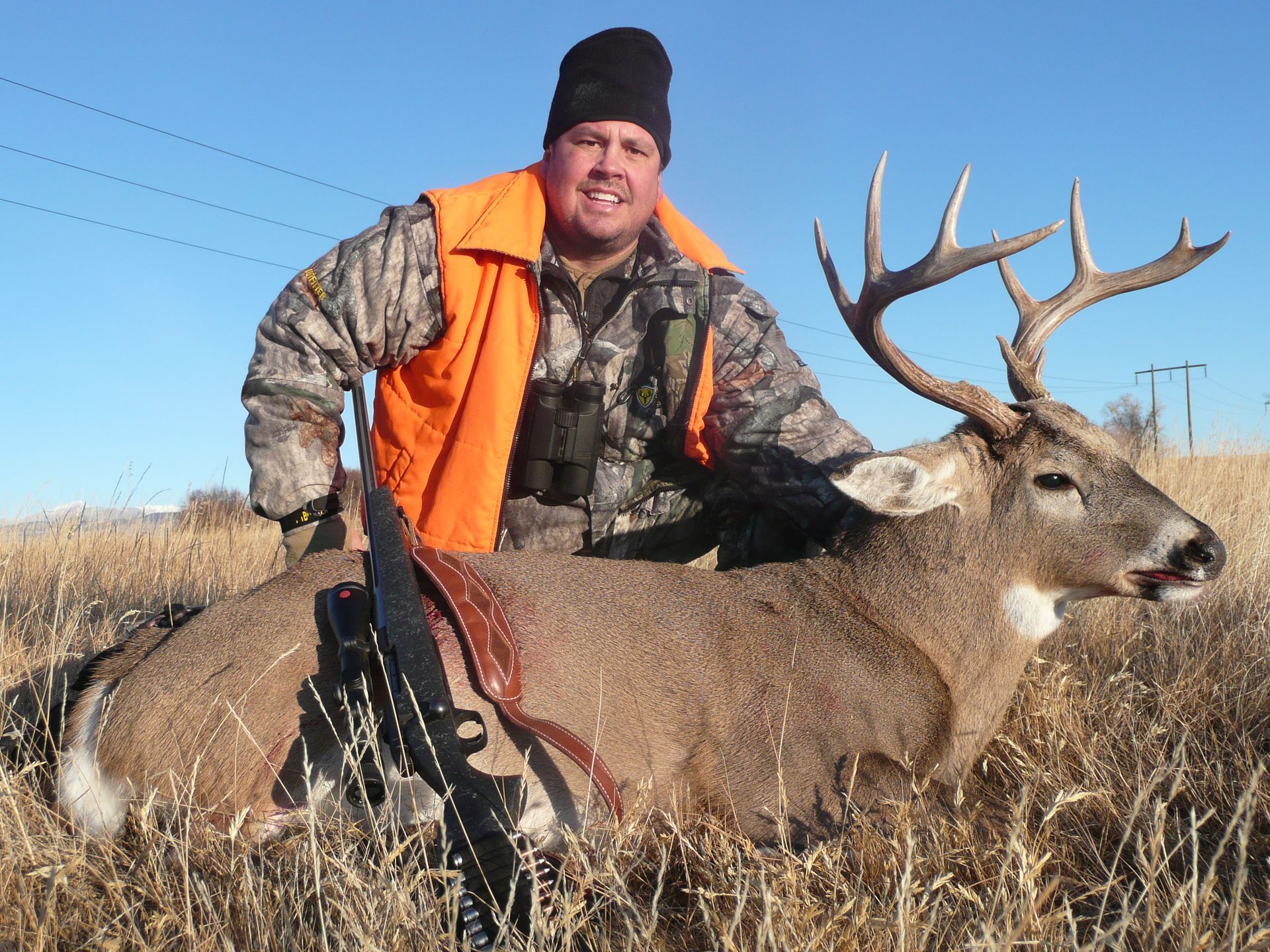 Whitetail Deer Gallery Image