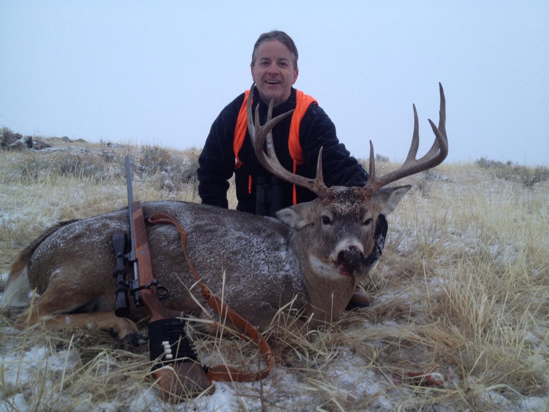 Whitetail Deer Gallery Image