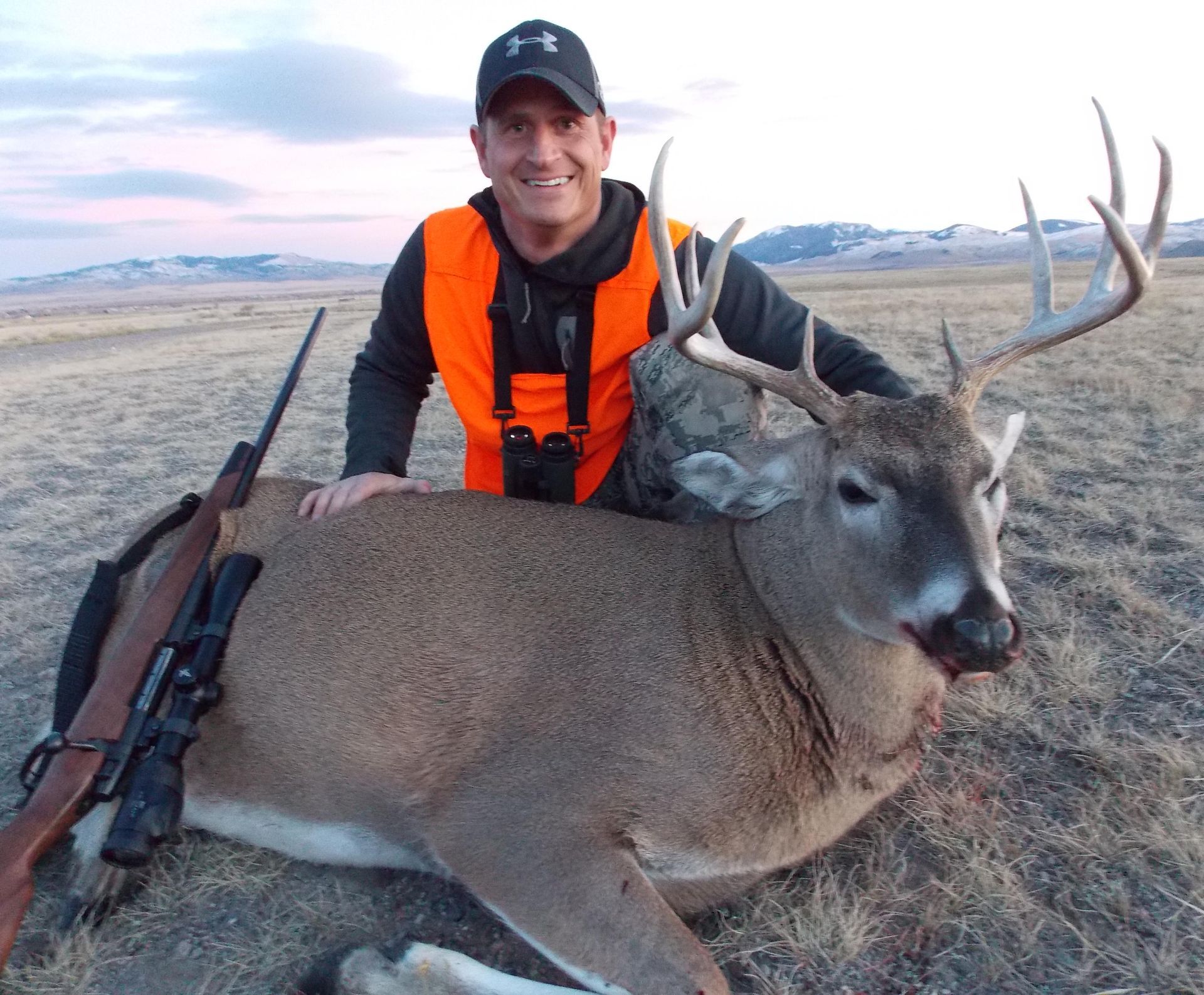 Whitetail Deer Gallery Image