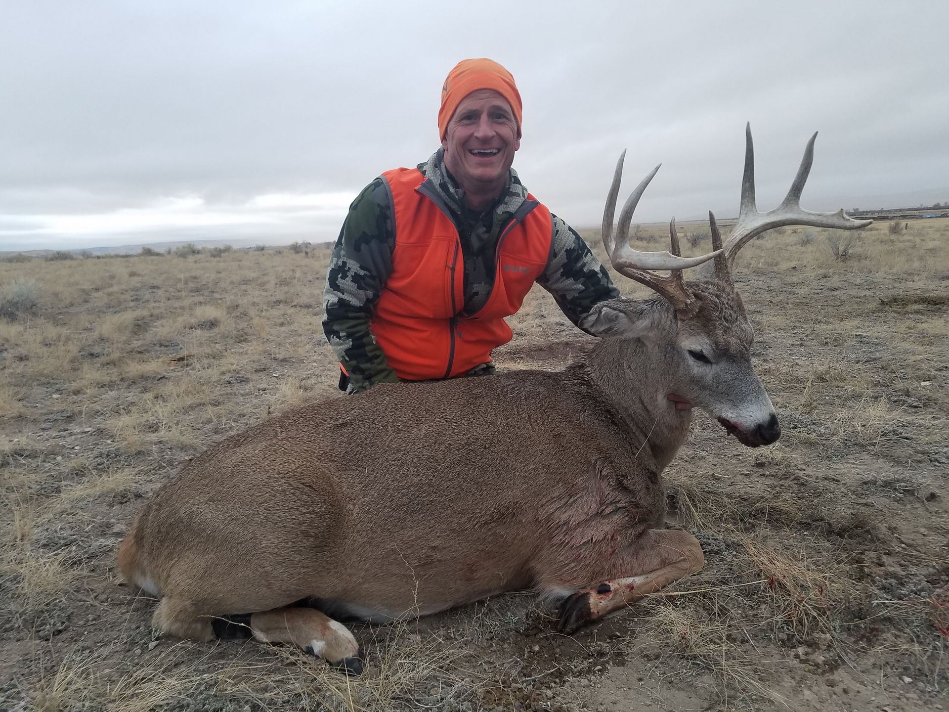 Whitetail Deer Gallery Image