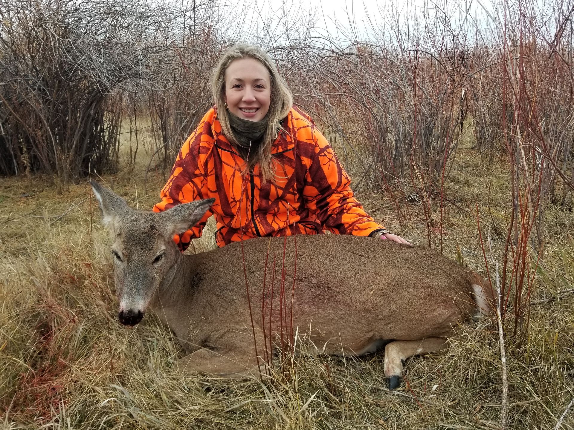 Whitetail Deer Gallery Image