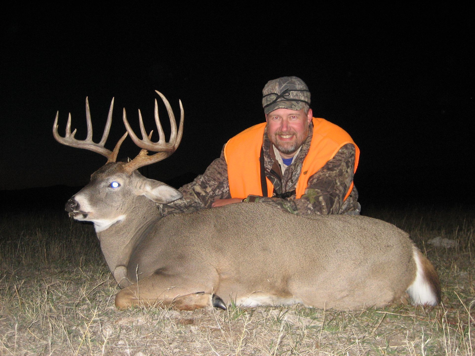 Whitetail Deer Gallery Image