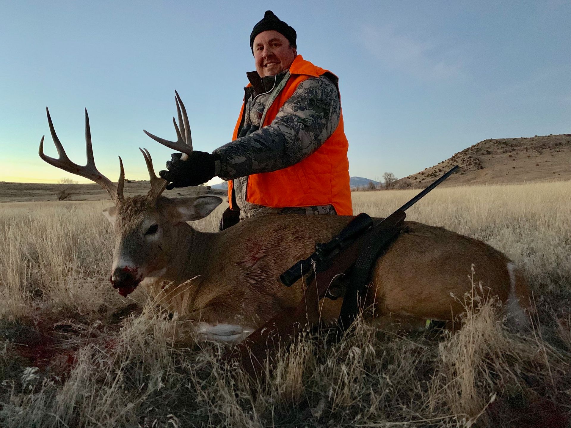 Whitetail Deer Gallery Image