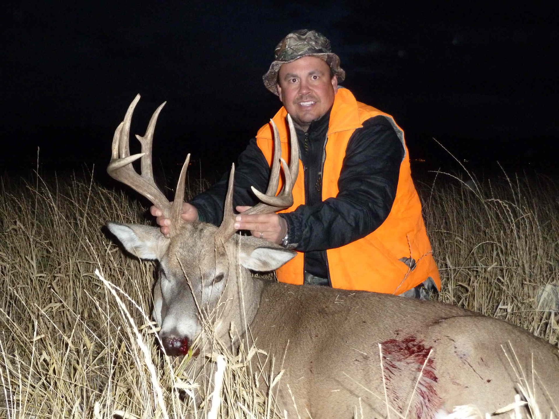 Whitetail Deer Gallery Image