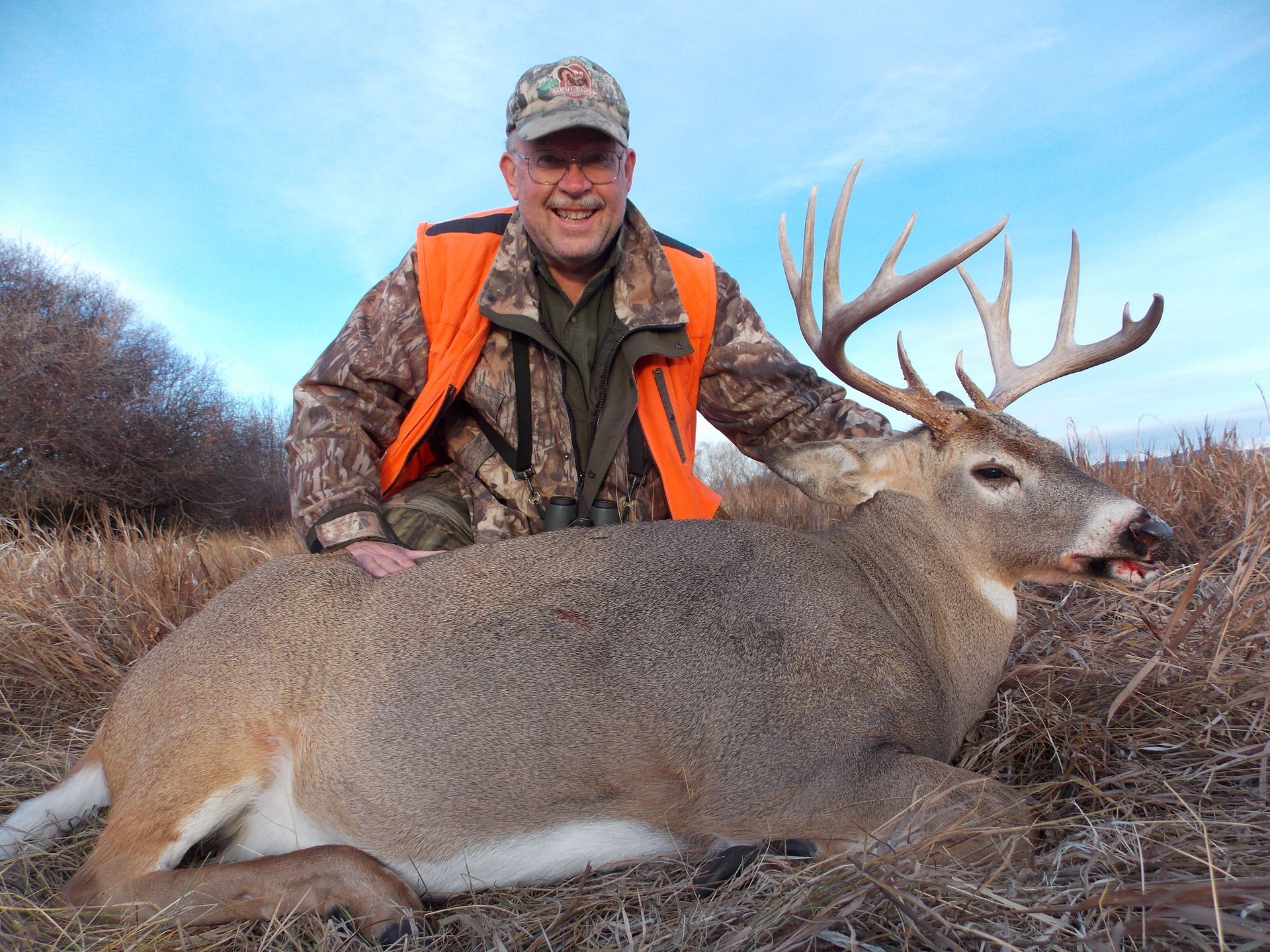 Whitetail Deer Gallery Image