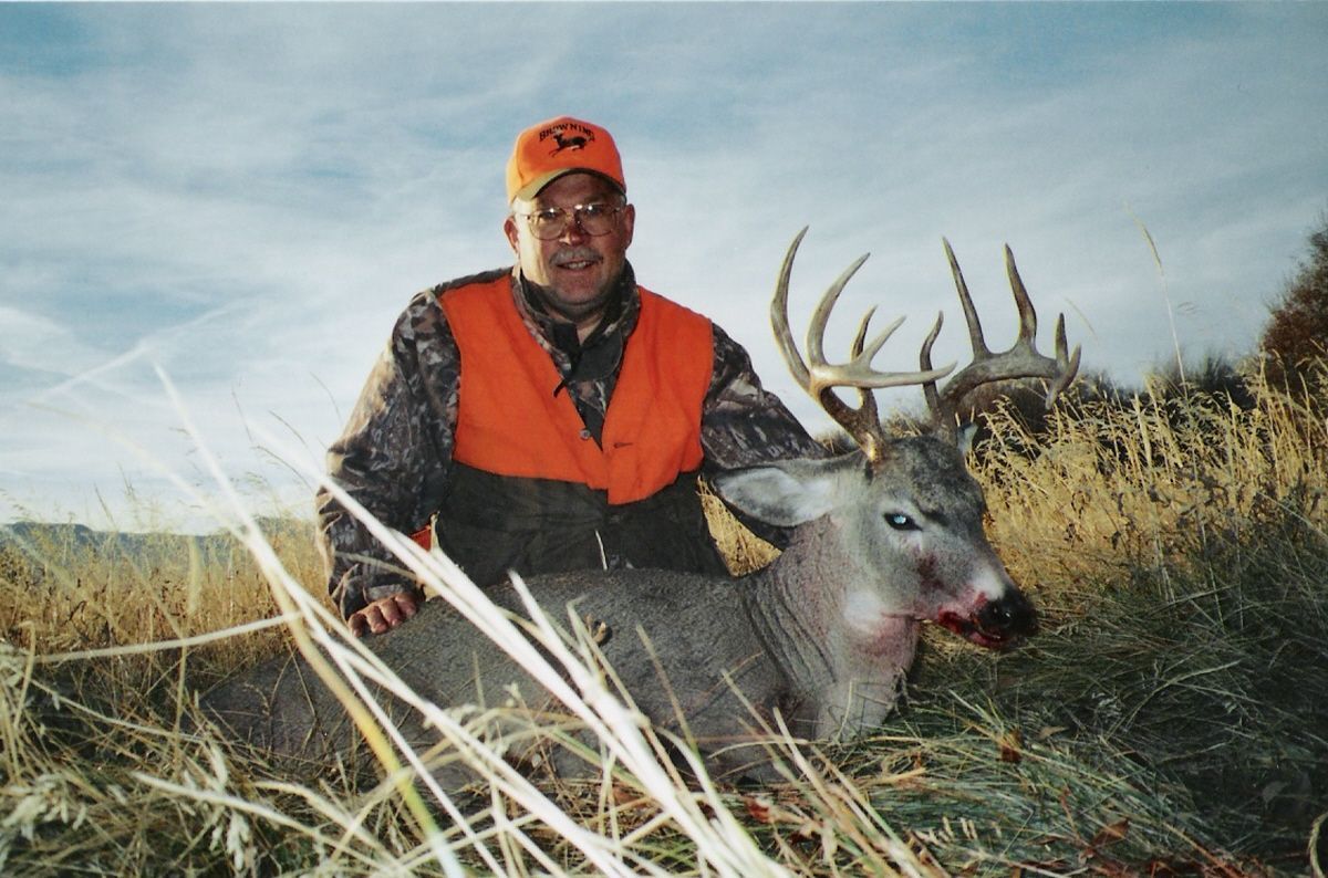 Whitetail Deer Gallery Image