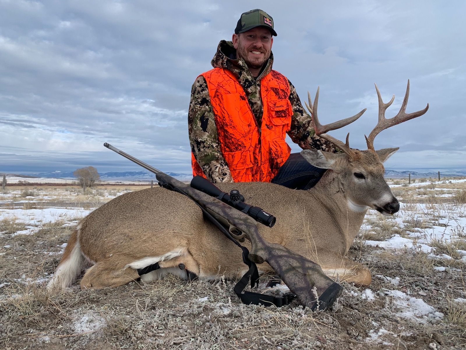 Whitetail Deer Gallery Image