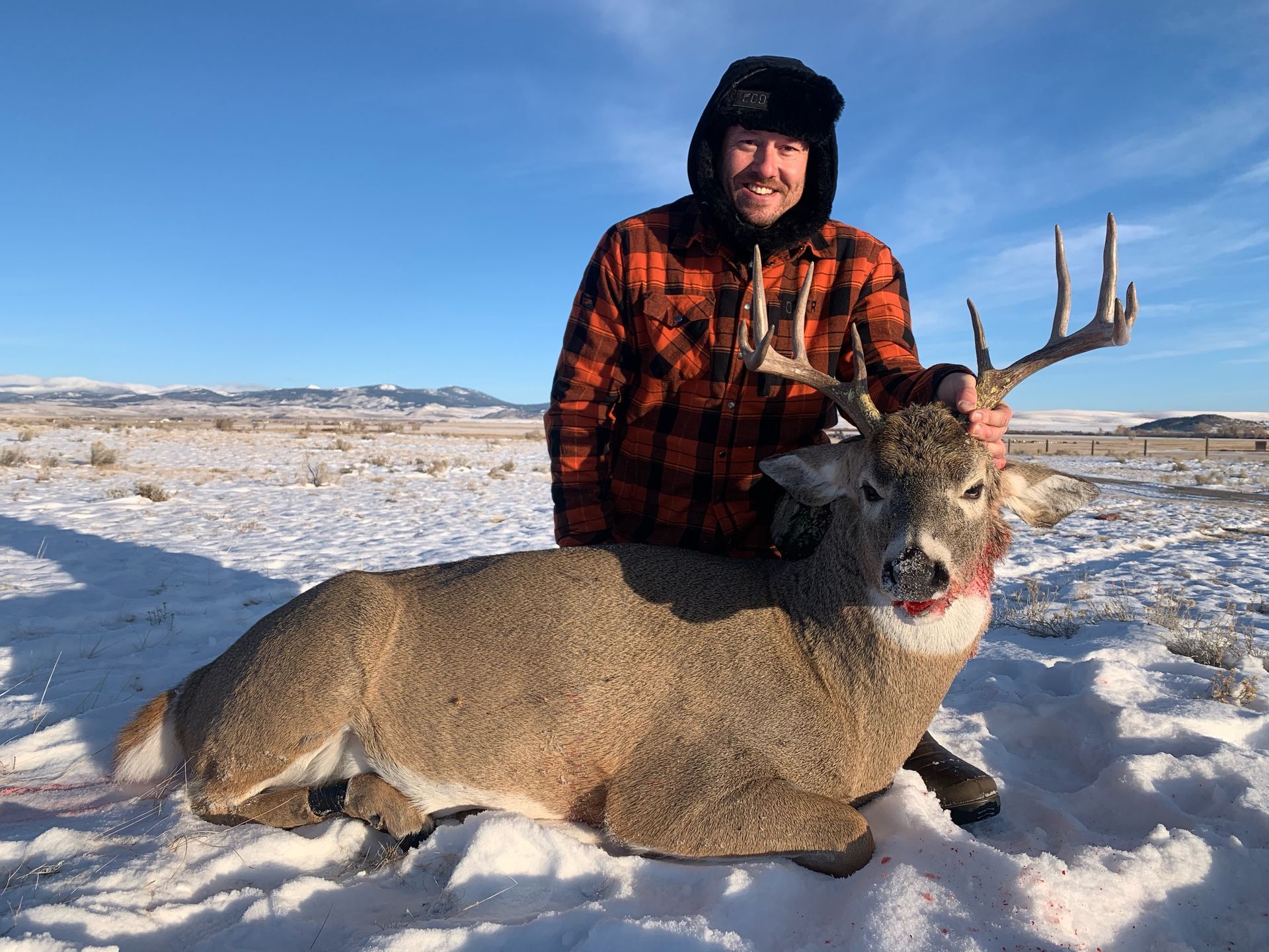 Whitetail Deer Gallery Image