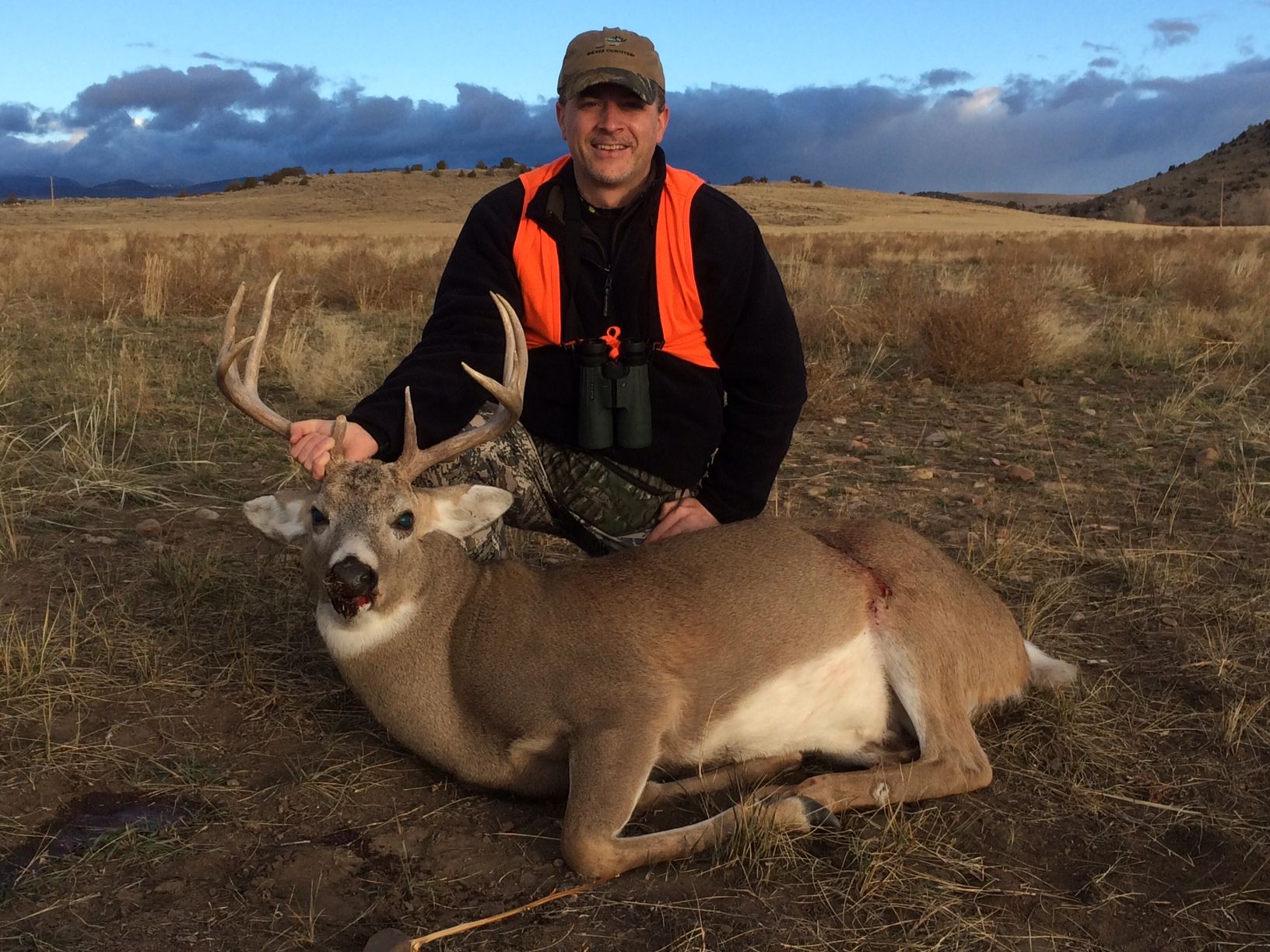 Whitetail Deer Gallery Image