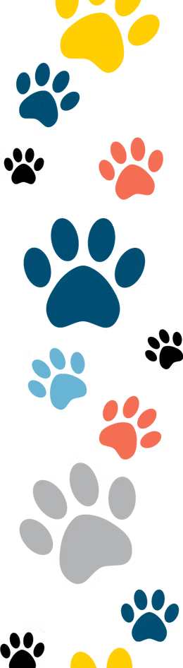 Colorful paw prints scattered on a white background.