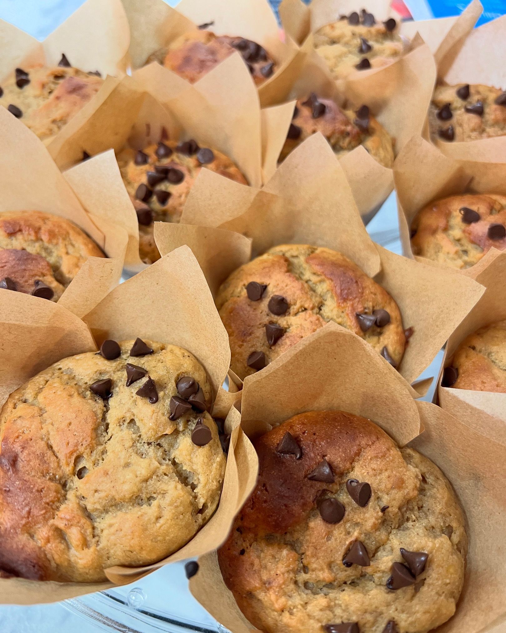 A bunch of chocolate chip muffins wrapped in brown paper