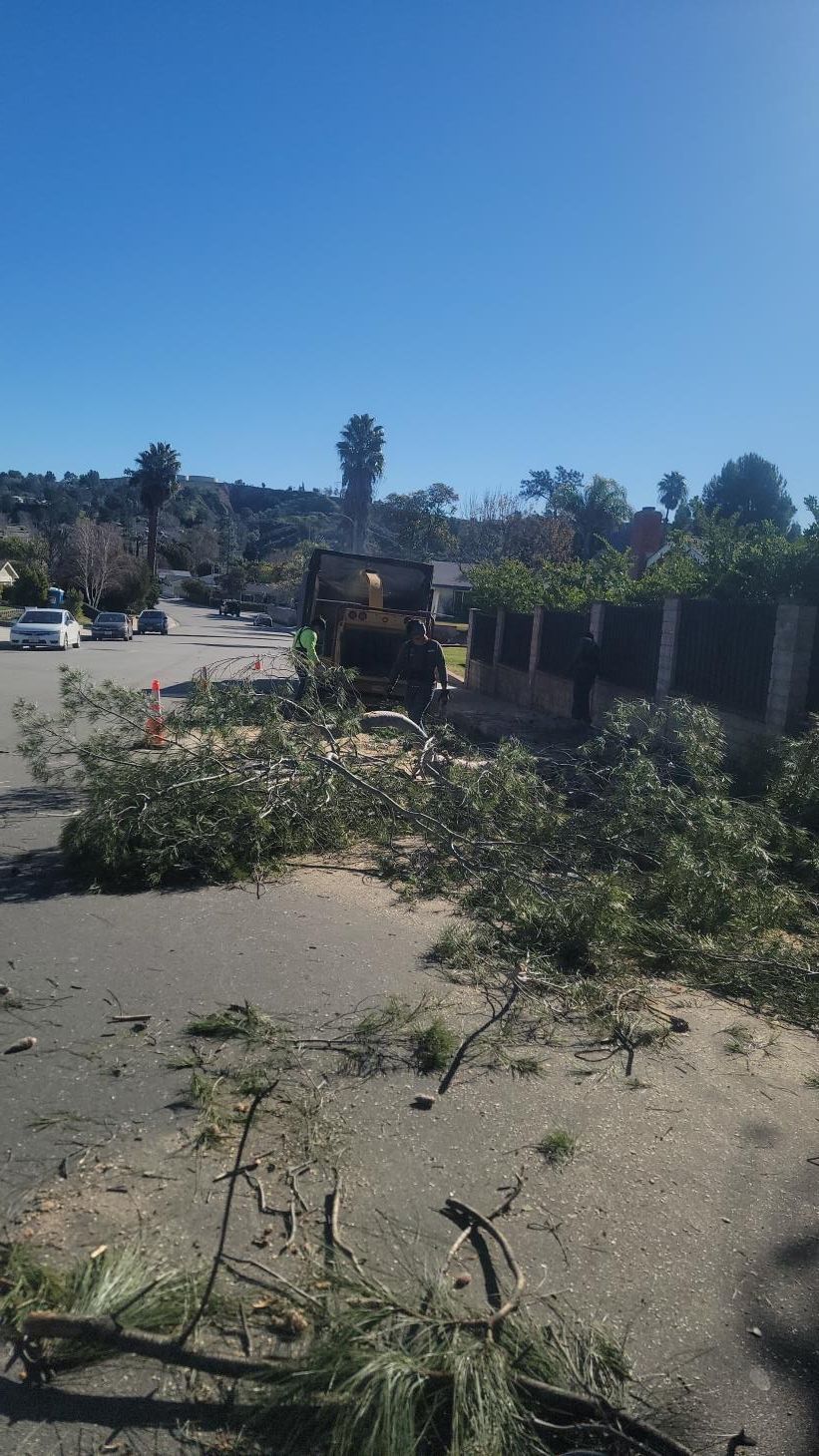 A tractor is cutting down a tree on the side of the road.
