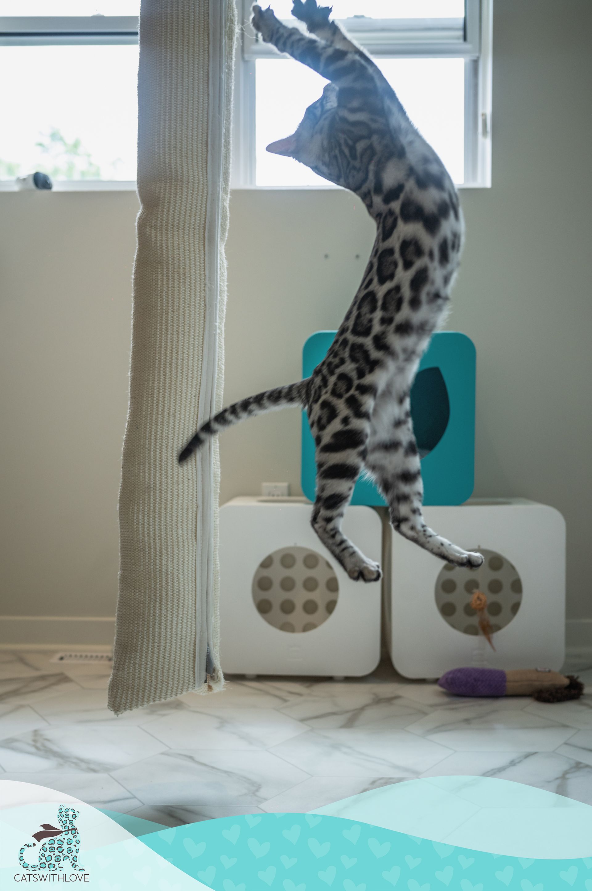 A cat is jumping in the air while playing on a cat tree.