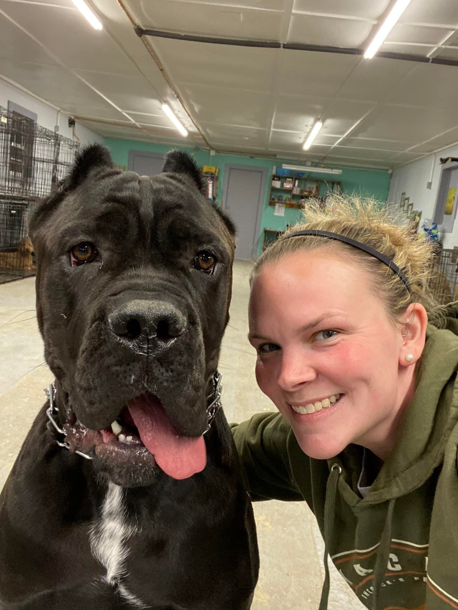 About River Retriever Kennels Paducah, KY