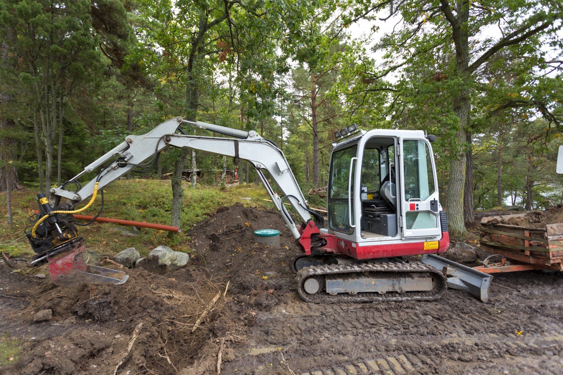 FORESTRY WORKS