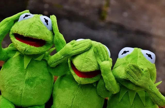 Three kermit the frog stuffed animals are covering their eyes with their hands.